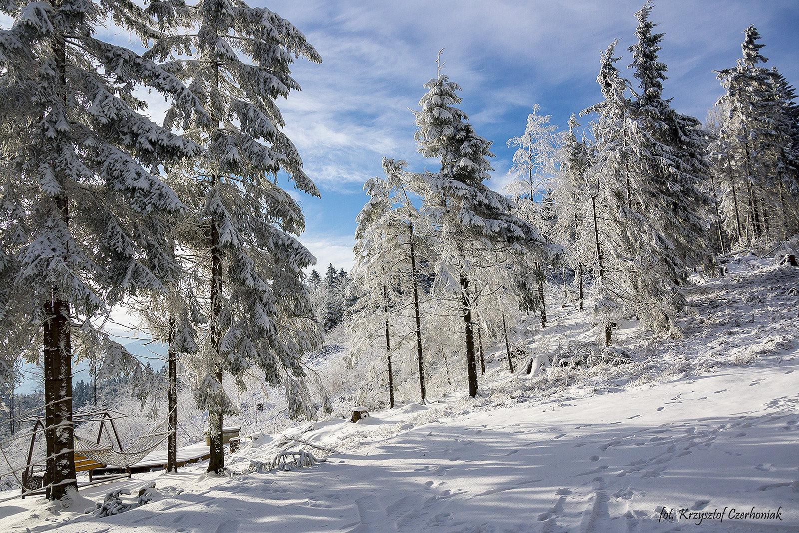 Tamron 18-270mm F3.5-6.3 Di II PZD sample photo. Winter 2016 photography
