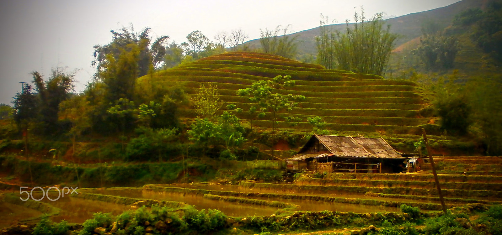 Olympus VG150,D735 sample photo. Sapa shack and rice terrace photography