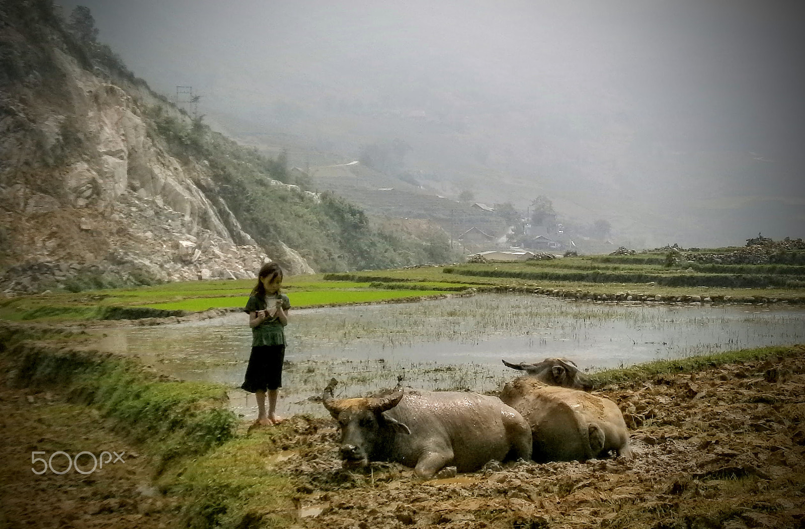 Olympus VG150,D735 sample photo. Girl with her water buffalo photography