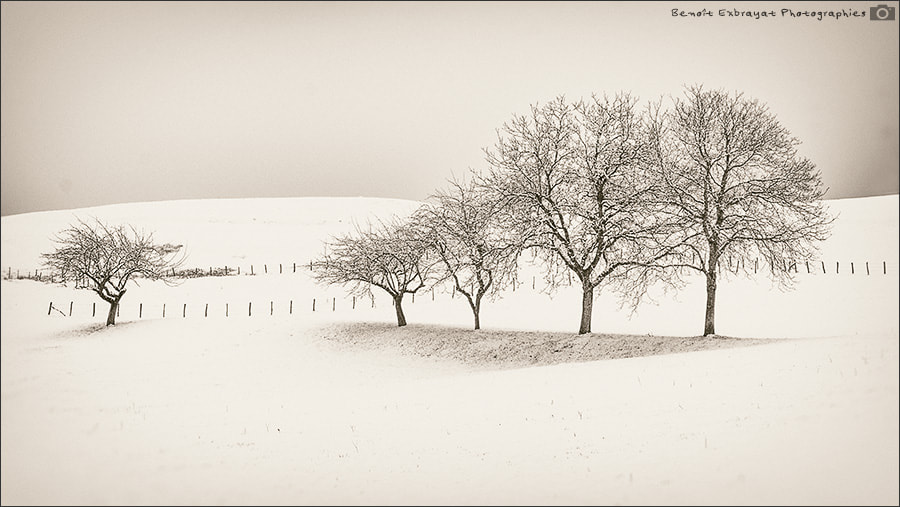 Sigma AF 10-20mm F4-5.6 EX DC sample photo. Japanese winter photography