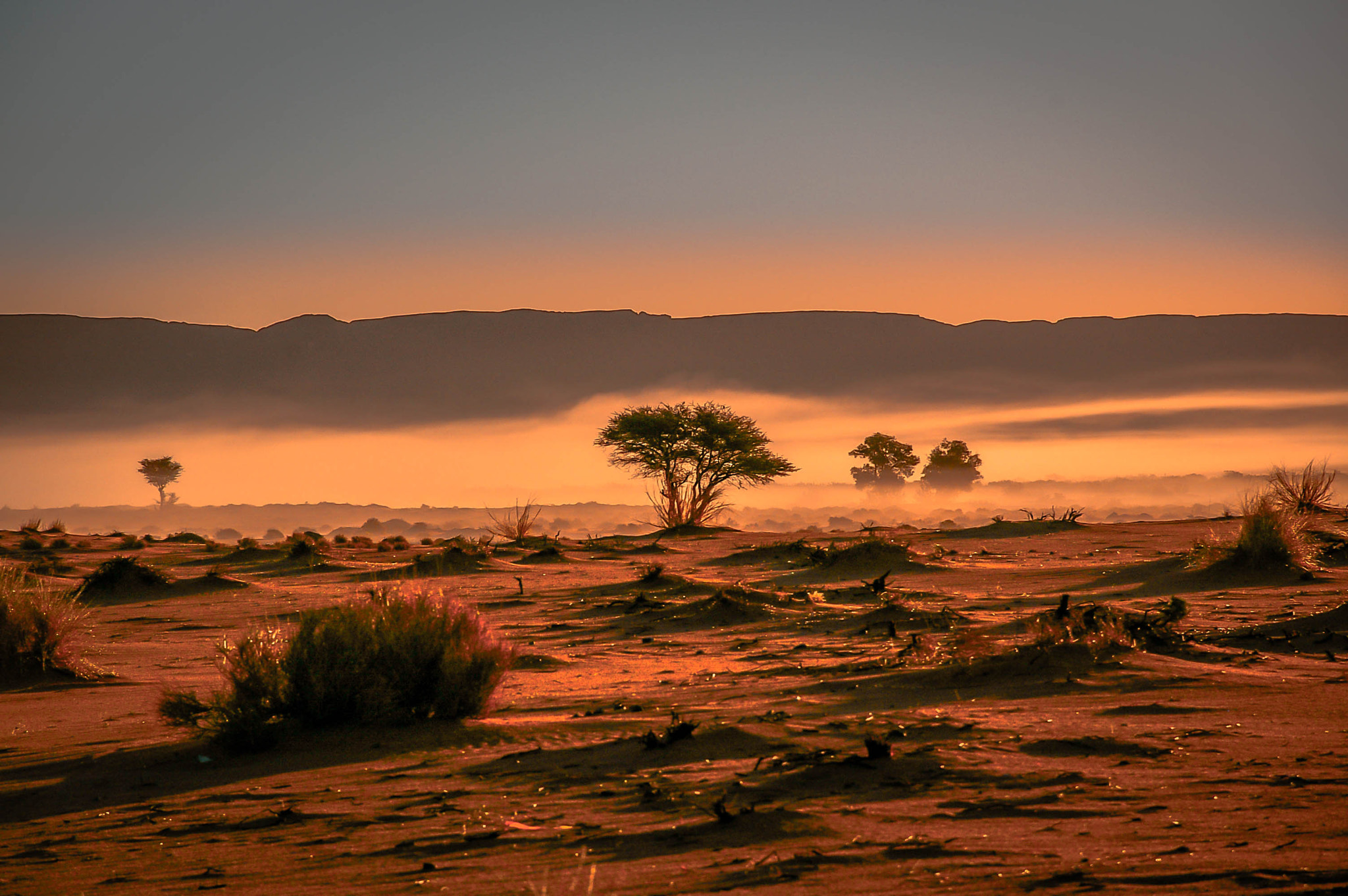 Pentax *ist DS sample photo. Nature 3   "kalahari dessert" photography