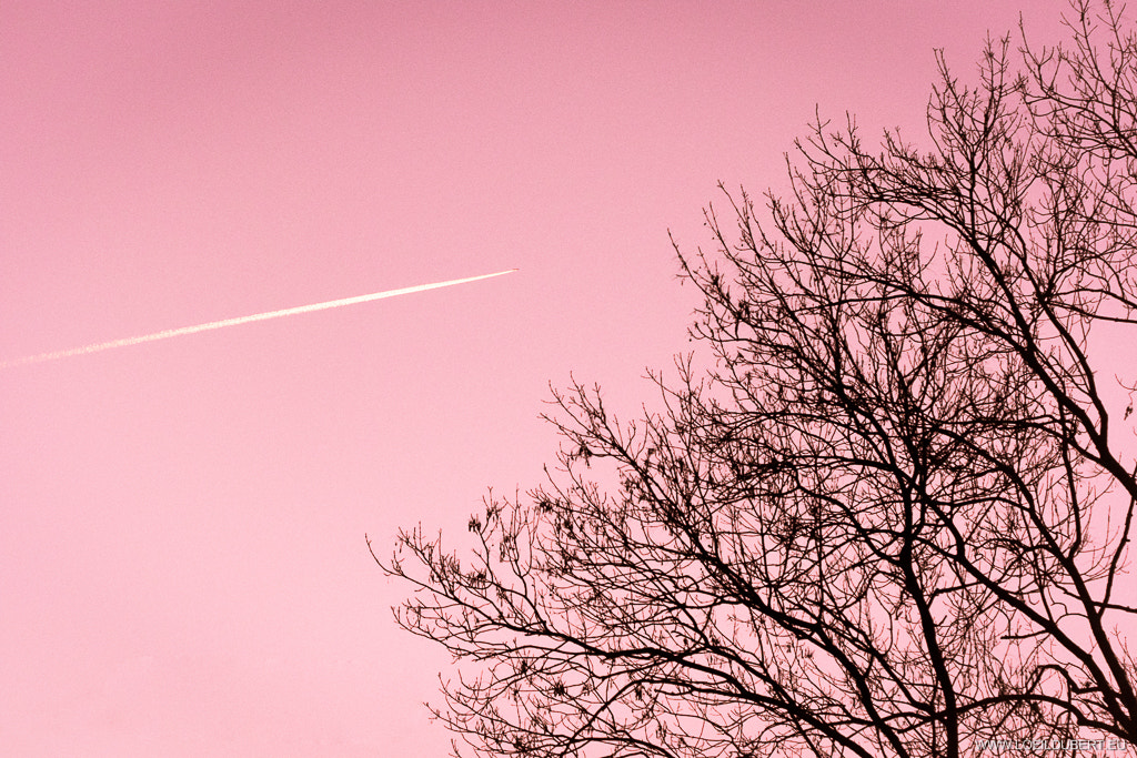 Canon EF 100mm F2.8 Macro USM sample photo. Air pink in the sky photography