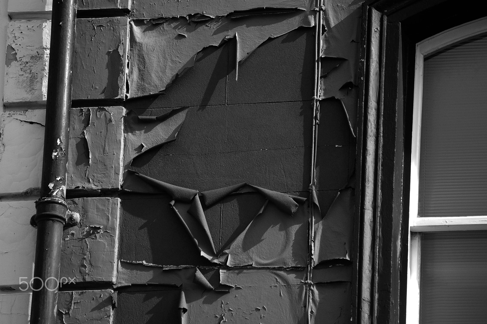 Sigma 70-300mm F4-5.6 APO Macro Super II sample photo. Bwlon photography