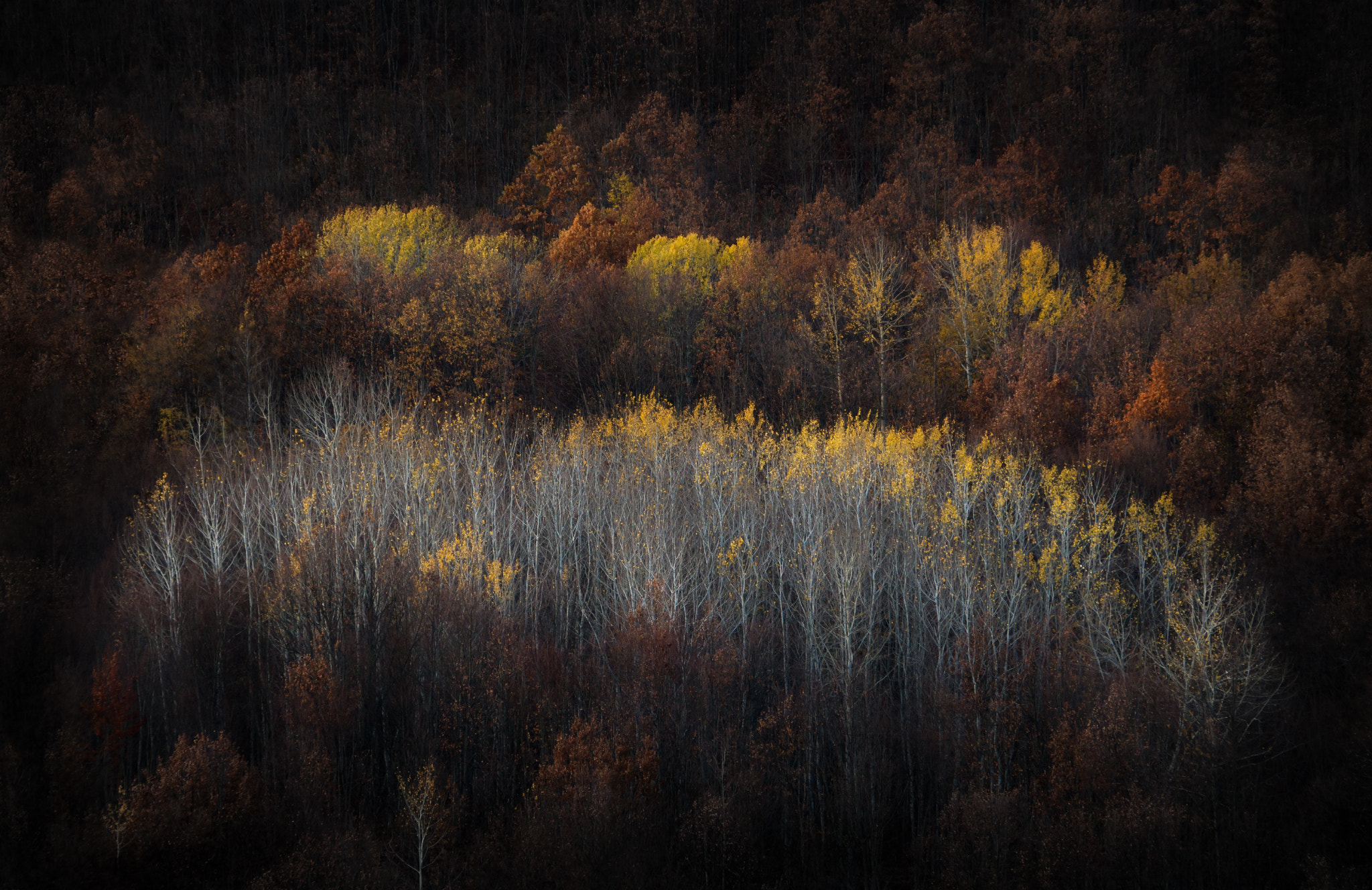 Sony E 18-200mm F3.5-6.3 OSS sample photo. ☼☼☼ photography