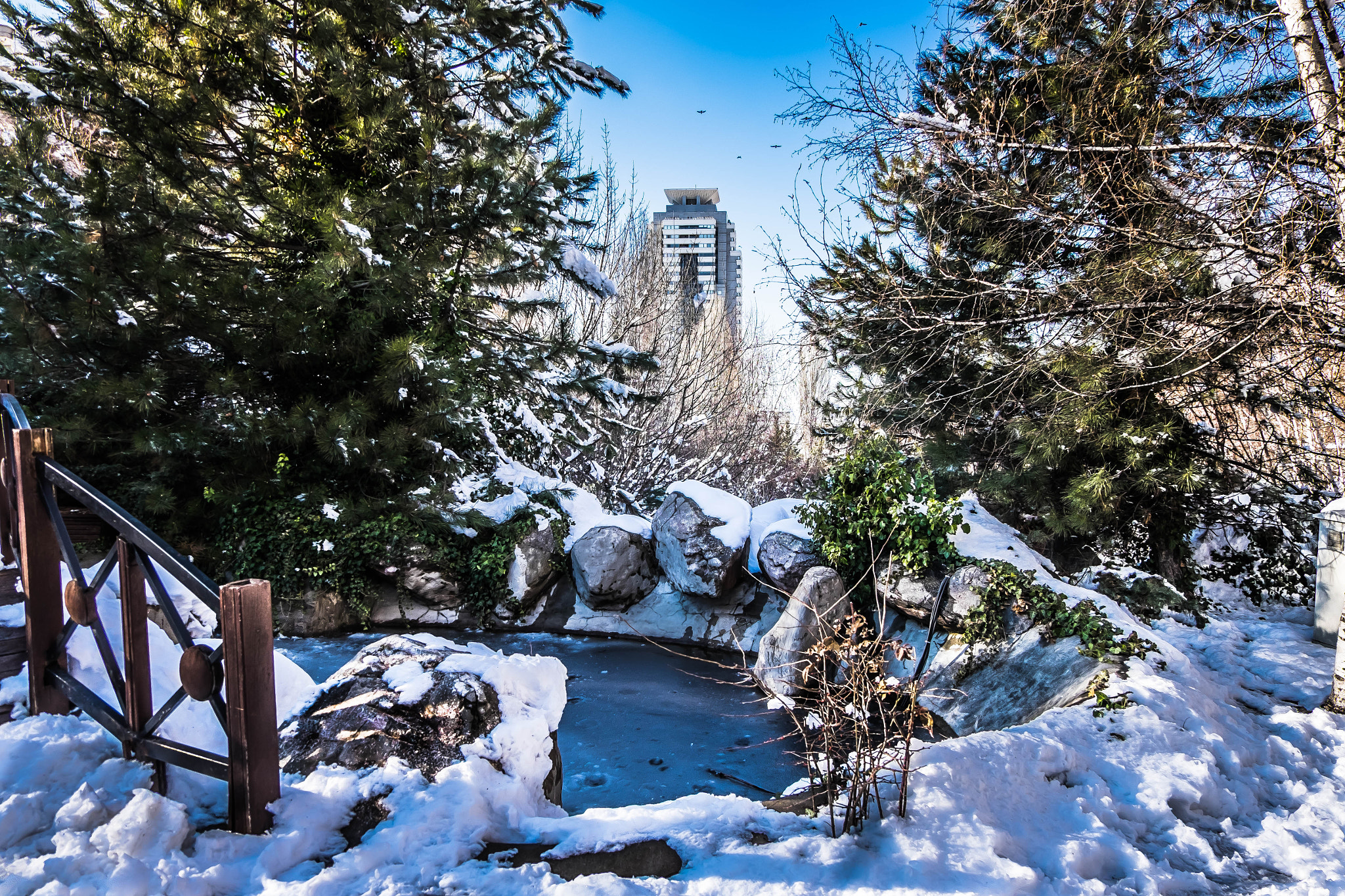 Fujifilm X-T1 + Fujifilm XC 16-50mm F3.5-5.6 OIS II sample photo. Winter vol.1 photography