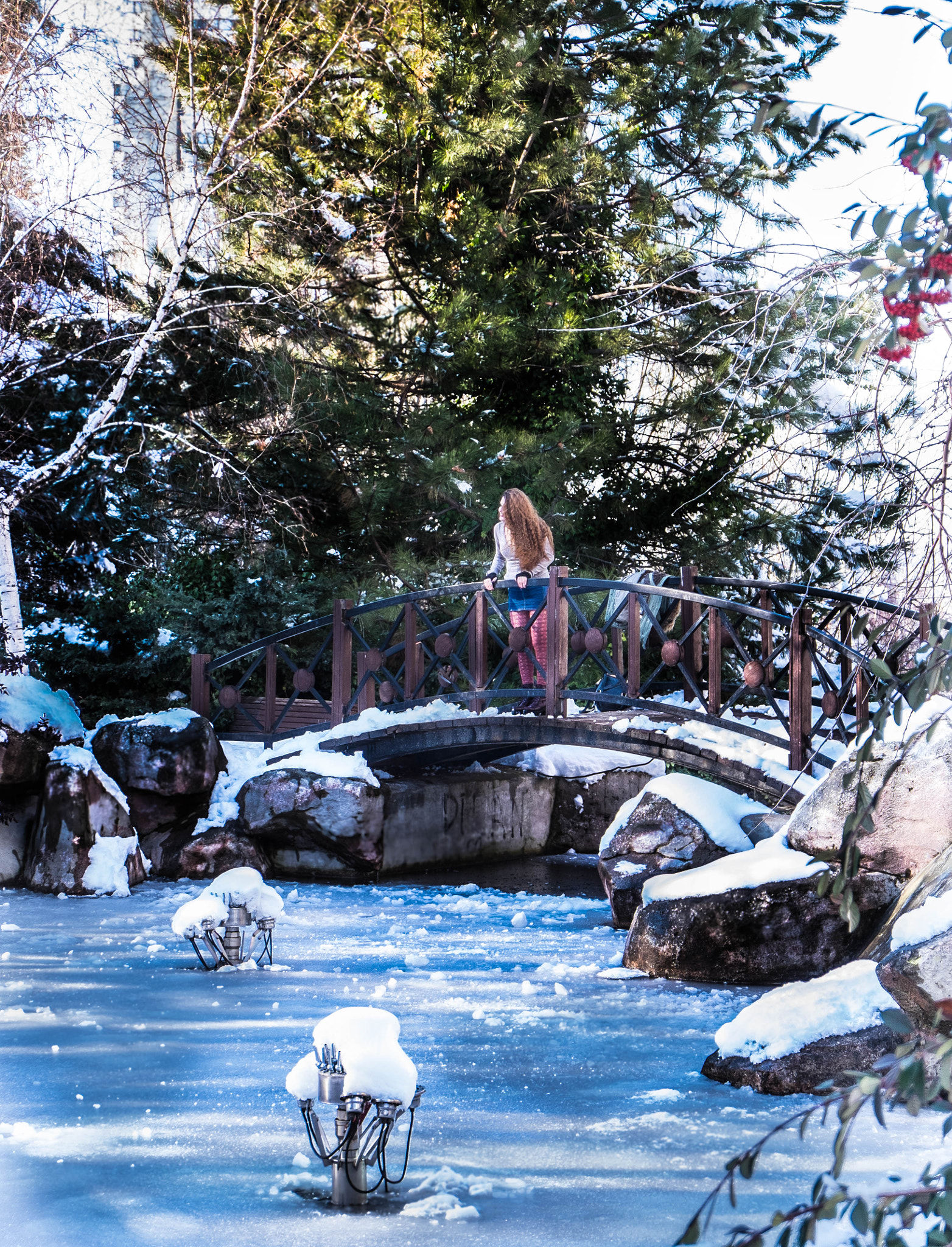 Fujifilm X-T1 + Fujifilm XC 16-50mm F3.5-5.6 OIS II sample photo. Winter vol.2 photography