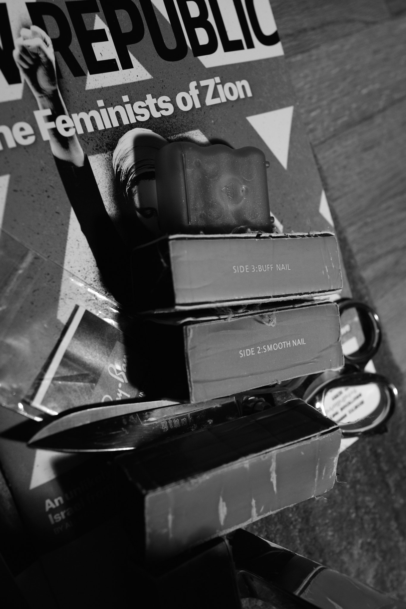 Sony Cyber-shot DSC-RX1 + Sony 35mm F2.0 sample photo. Feminists of zion photography