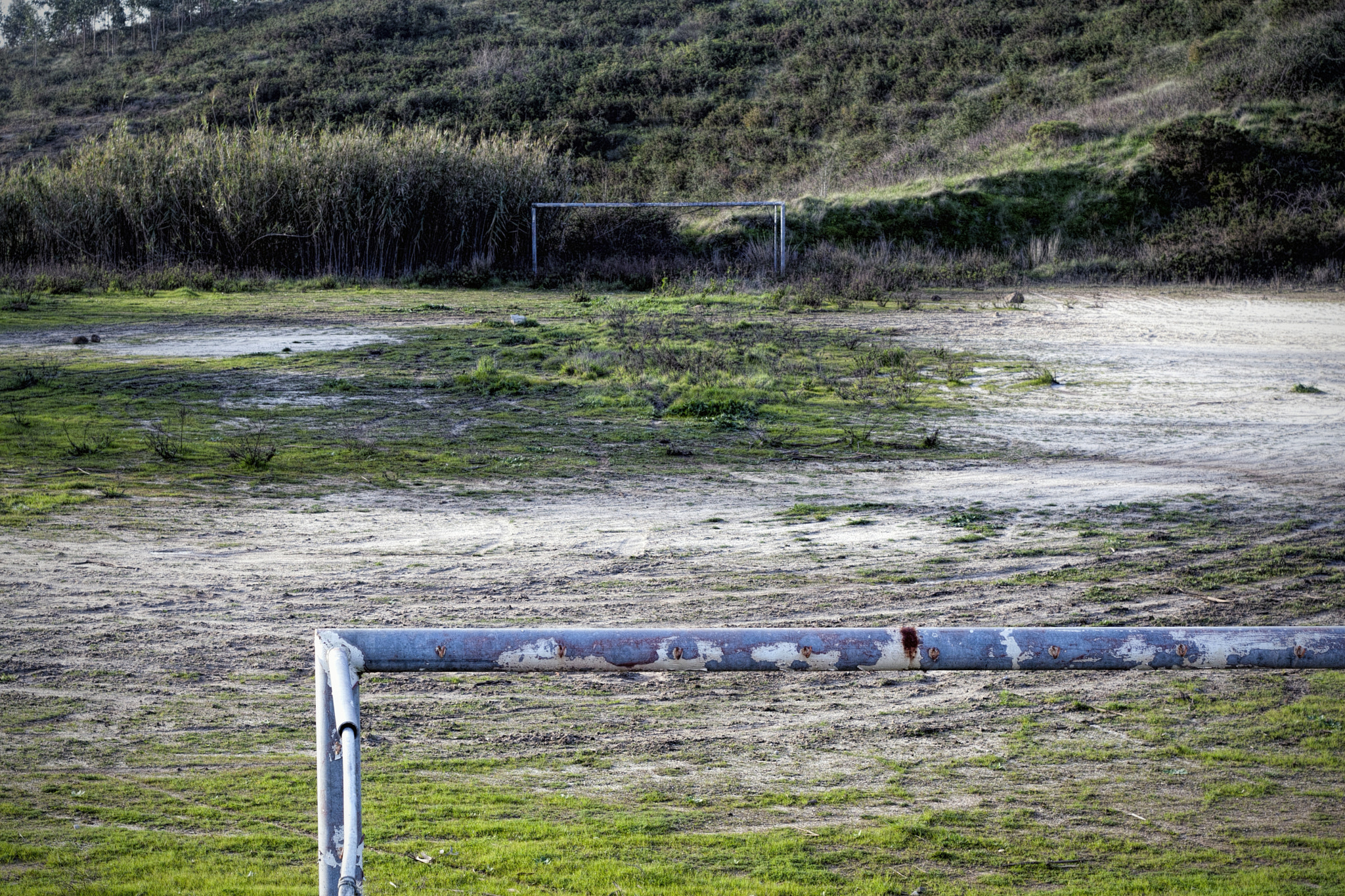 Canon EOS 30D + Canon EF 50mm F1.8 II sample photo. No more goals. photography
