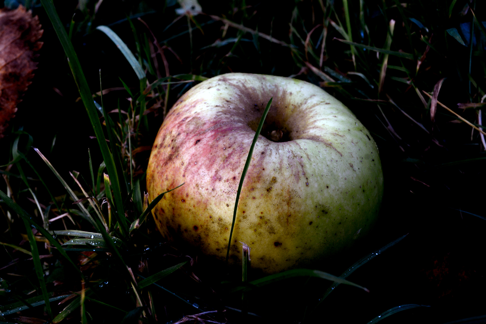Nikon D5200 + IX-Nikkor 30-60mm f/4-5.6 sample photo. Autumn apple photography