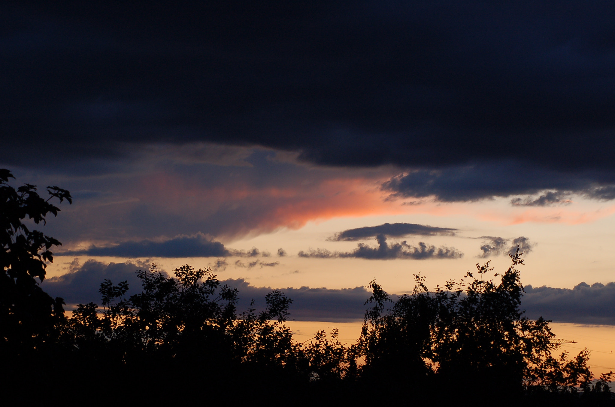 Nikon D50 sample photo. Tauve photography