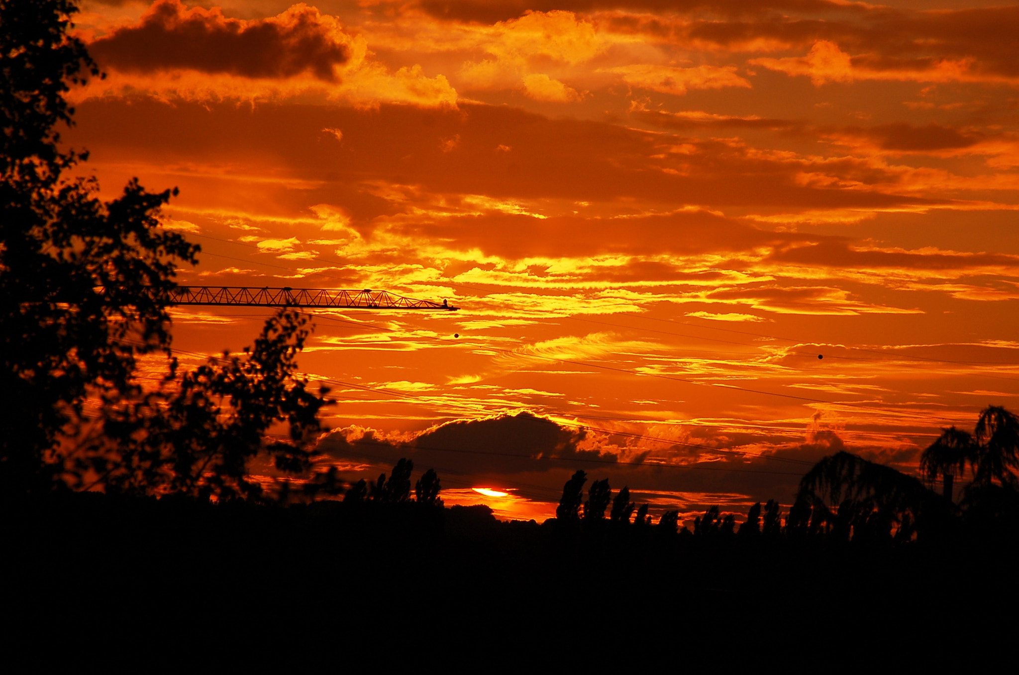 Nikon D50 sample photo. Drogenbos 3 photography