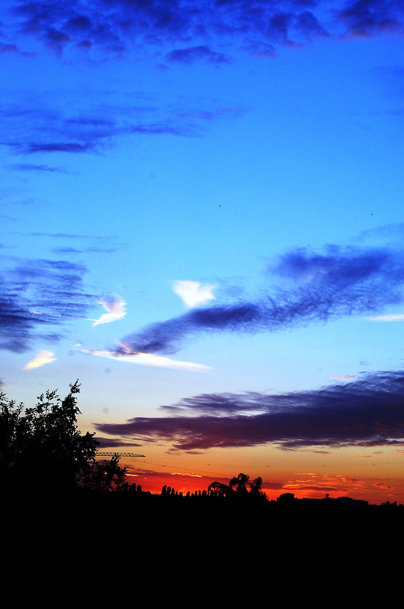 Nikon D50 sample photo