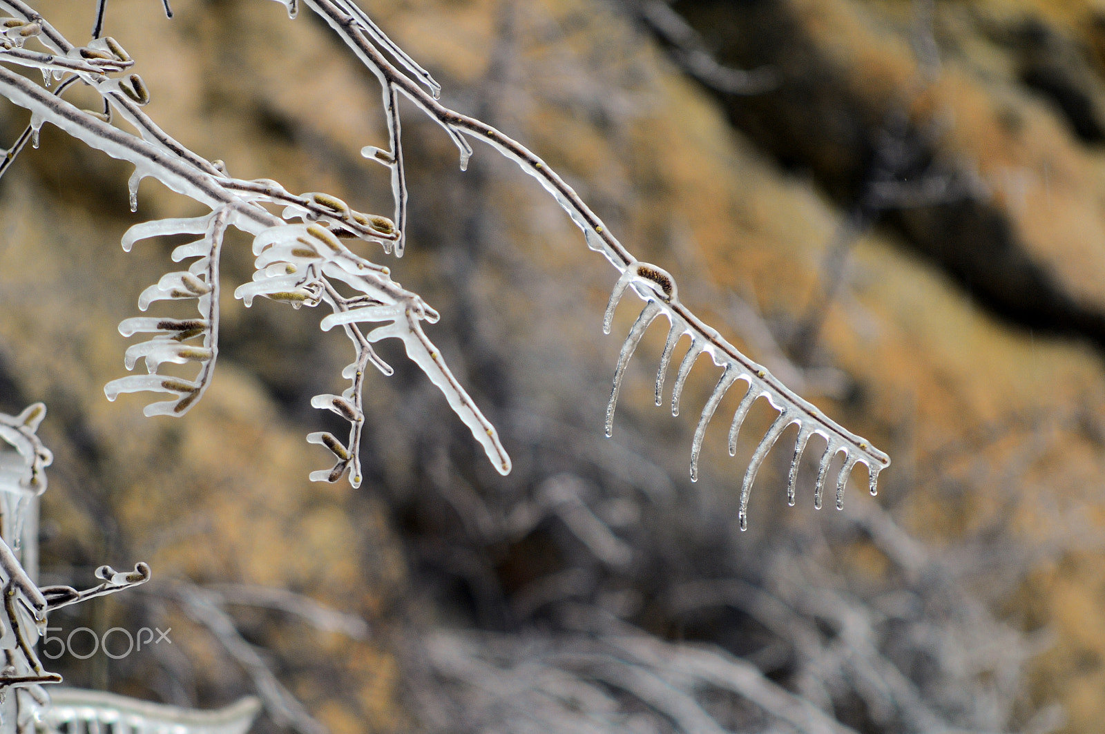 AF Nikkor 70-210mm f/4-5.6 sample photo. Chaud froid ii photography