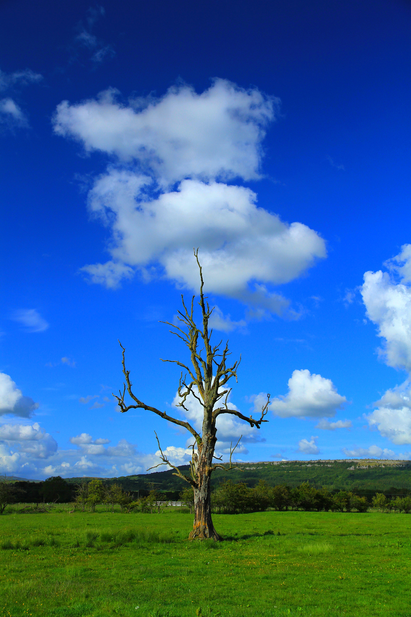 Canon EF-S 15-85mm F3.5-5.6 IS USM sample photo. Cloud study, lythe valley, cumbria uk photography