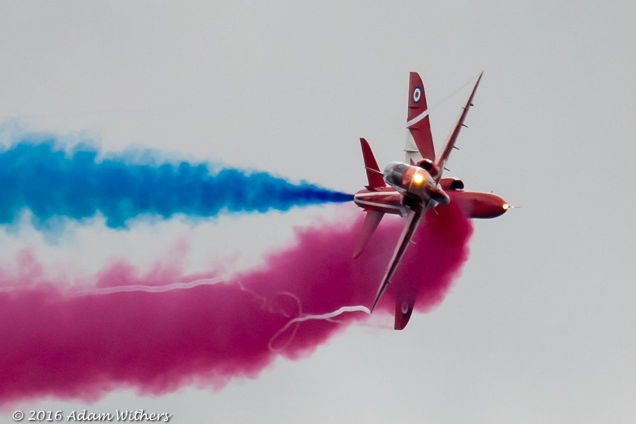Canon EF 100-400mm F4.5-5.6L IS USM sample photo. Red arrows display team photography