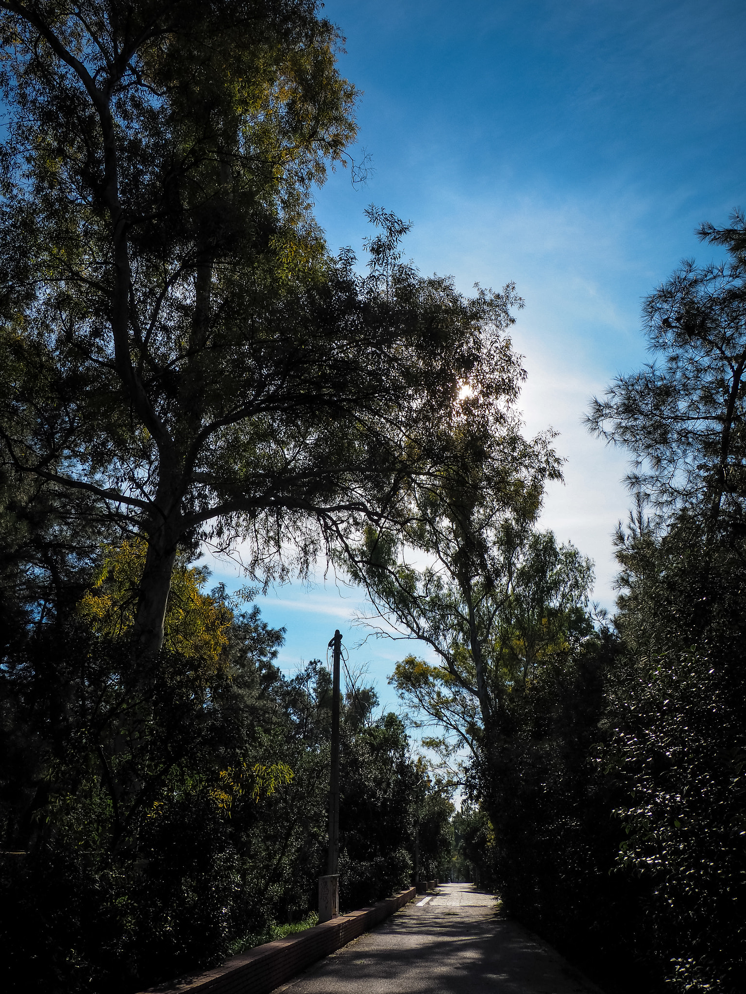 Olympus OM-D E-M10 sample photo. Down the lonely road photography