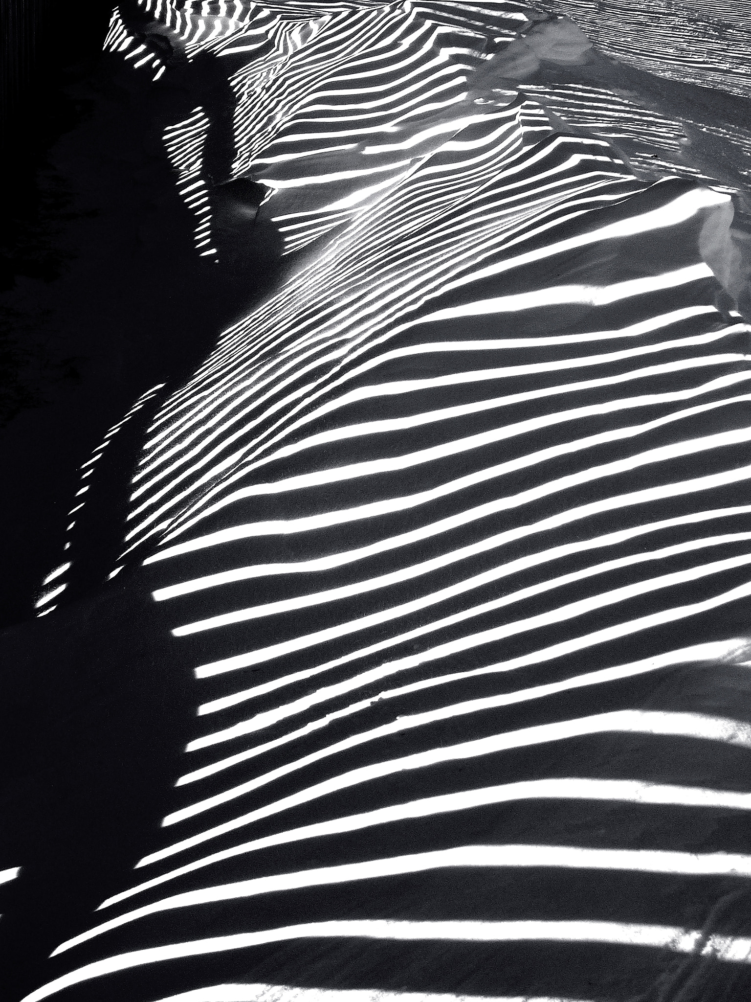 Panasonic DMC-FX5 sample photo. Fence shadows on snow photography