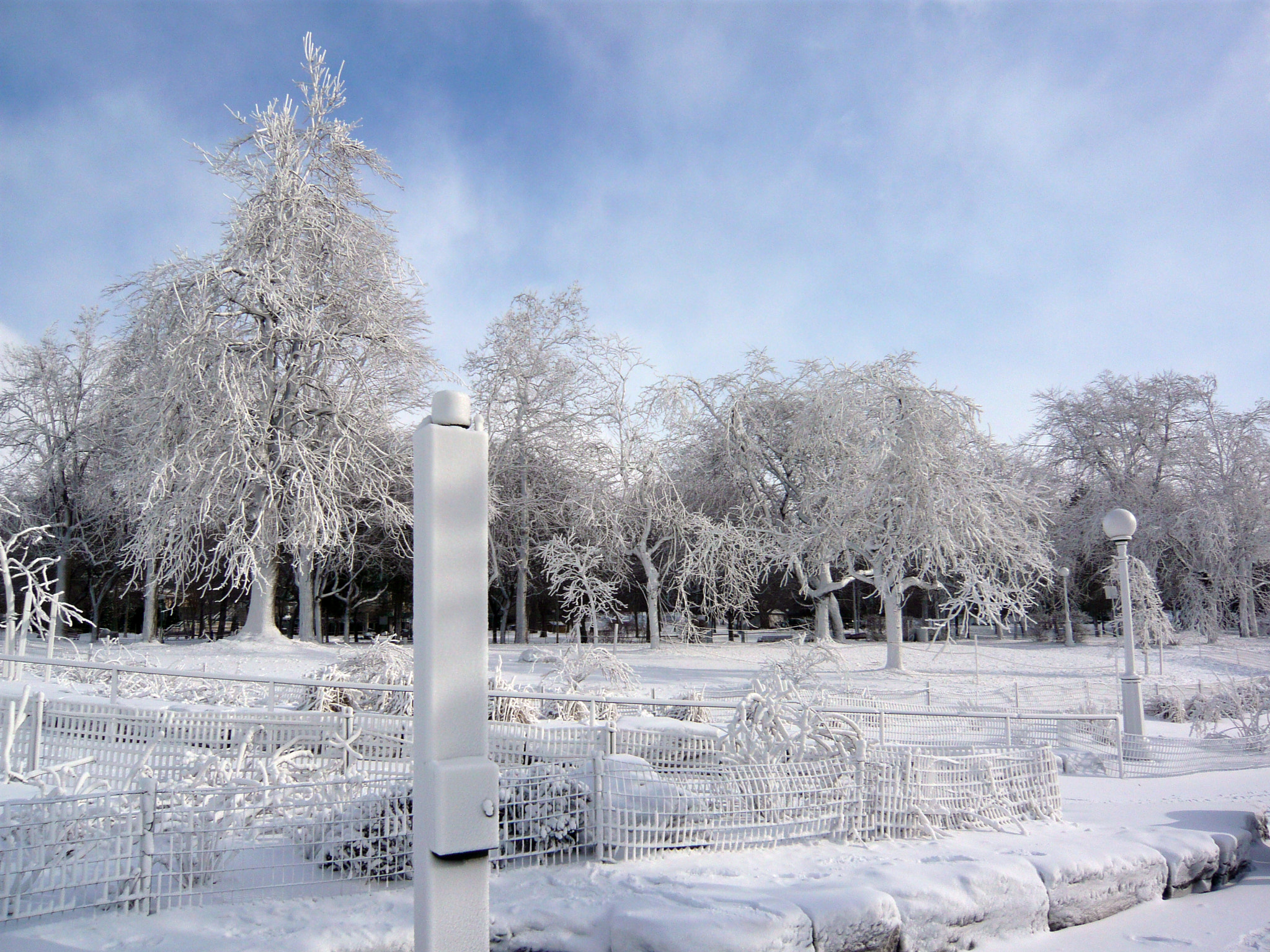 Panasonic DMC-FX33 sample photo. Frozen trees at niagra falls photography