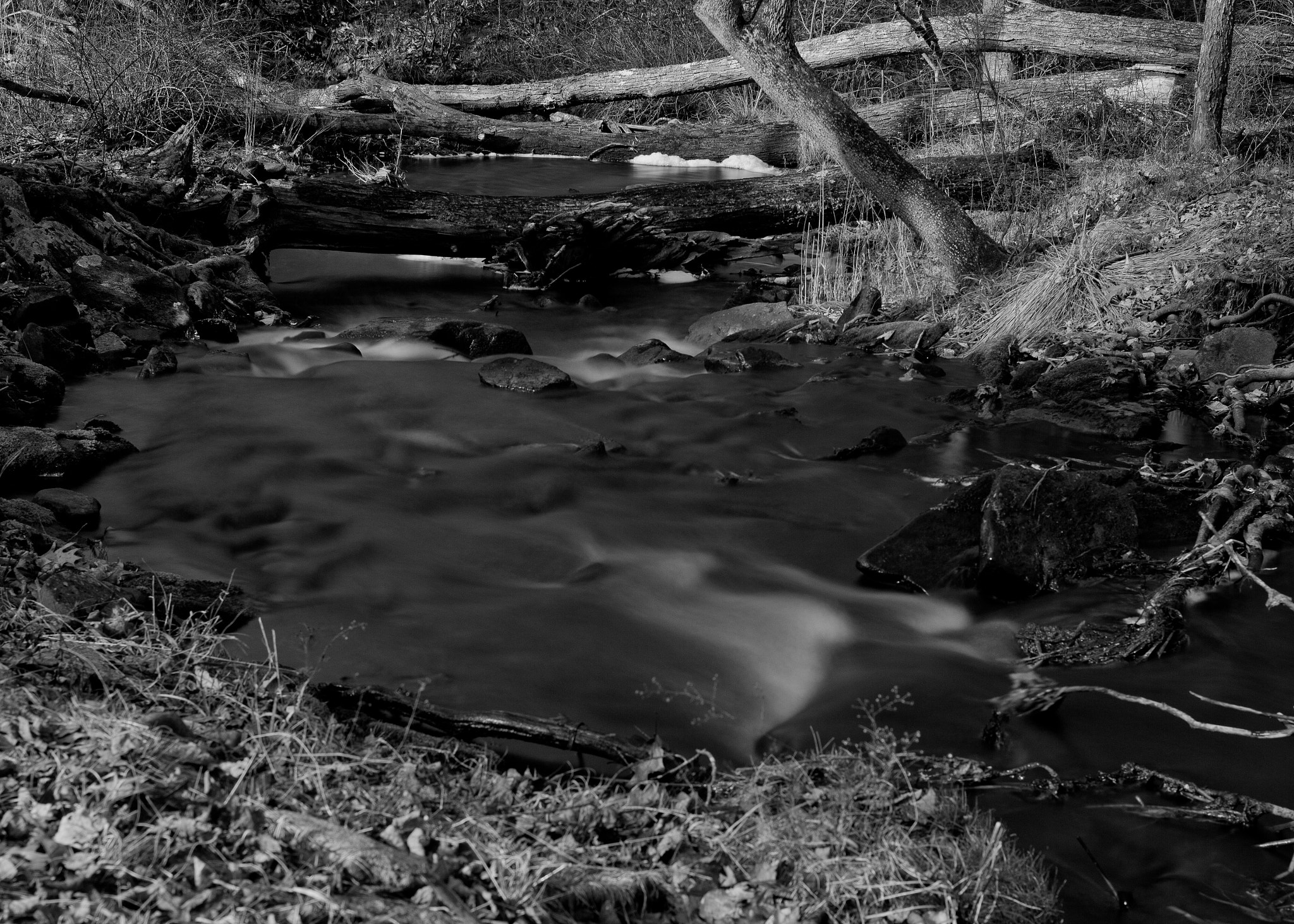 Canon EOS 550D (EOS Rebel T2i / EOS Kiss X4) + Canon EF 35mm F2 sample photo. Cold stream from birchwood pond photography