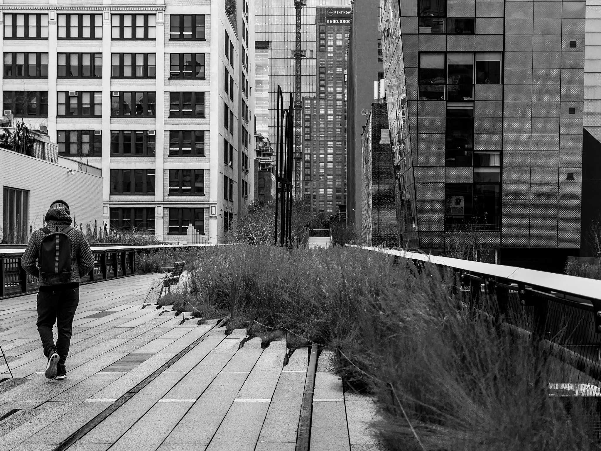 35mm F2.8 ZA sample photo. Work commute - highline nyc bw photography