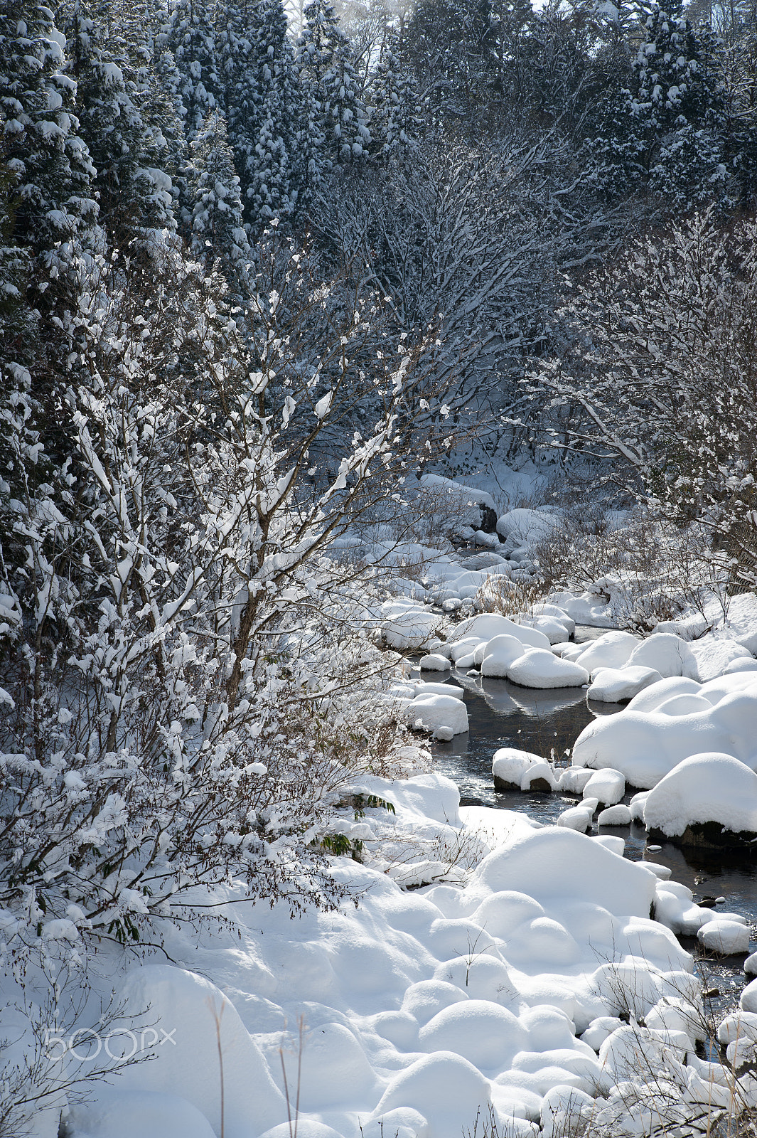 Nikon Df sample photo. Winter river photography