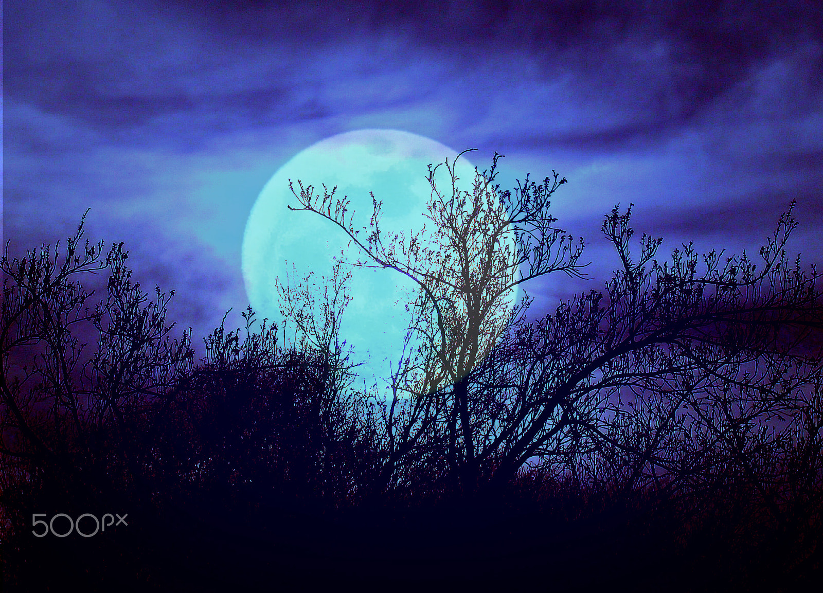 CASIO EX-S5 sample photo. Midnight blue photography