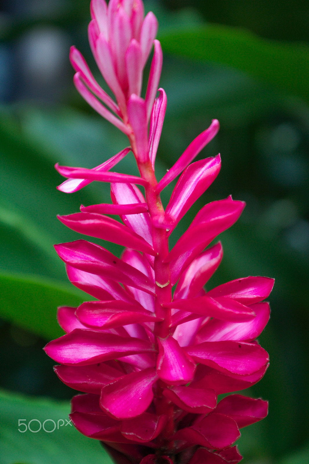 Sigma 18-125mm F3.8-5.6 DC OS HSM sample photo