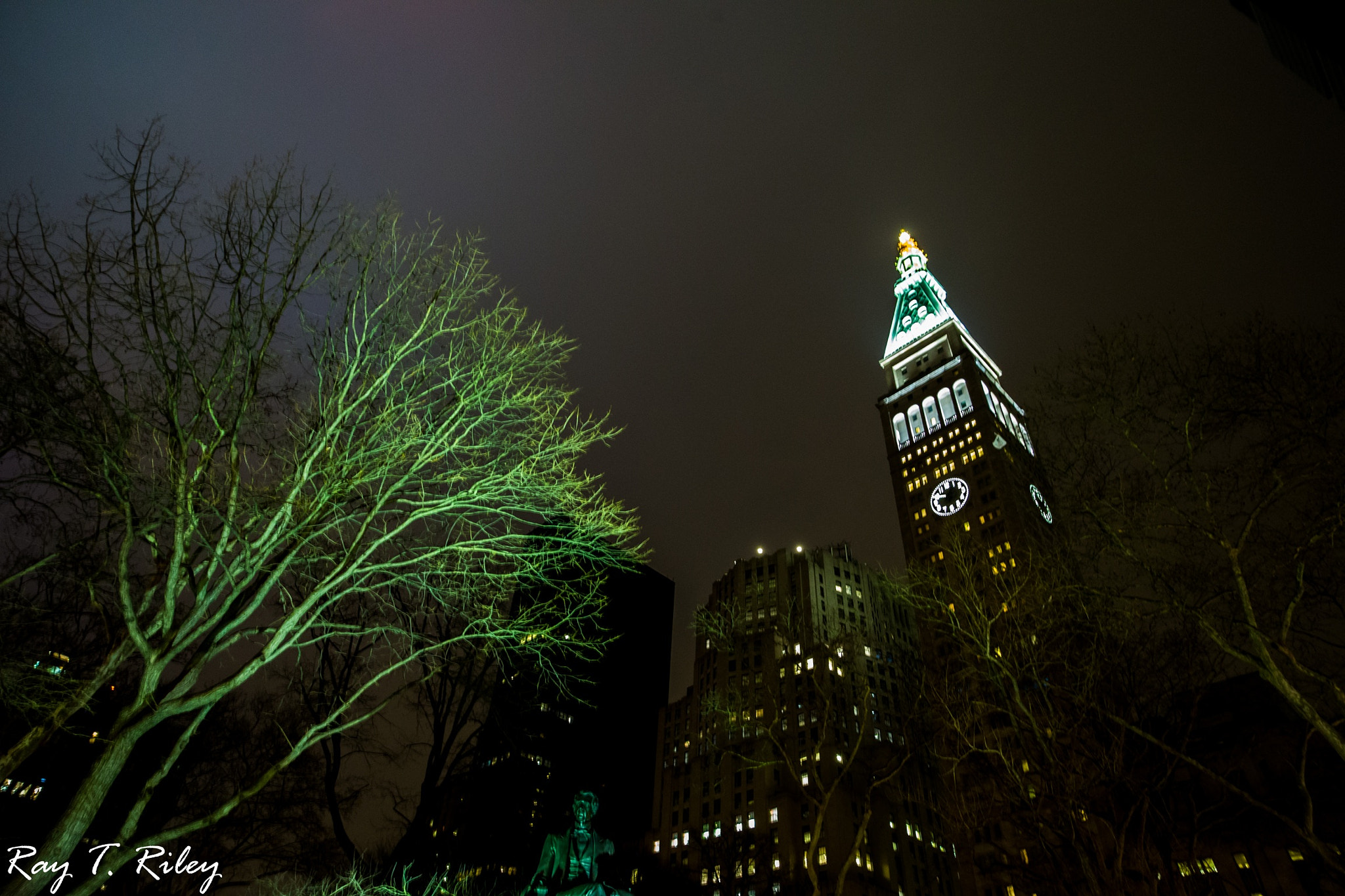 ZEISS Milvus 21mm F2.8 sample photo. Park view photography