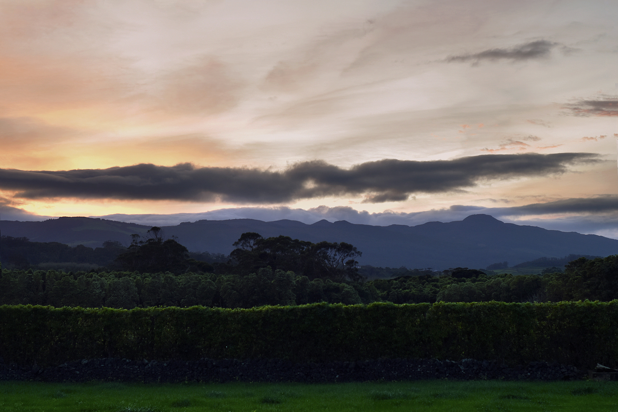 Nikon D5500 + Nikon AF Nikkor 50mm F1.8D sample photo. Sunset. photography