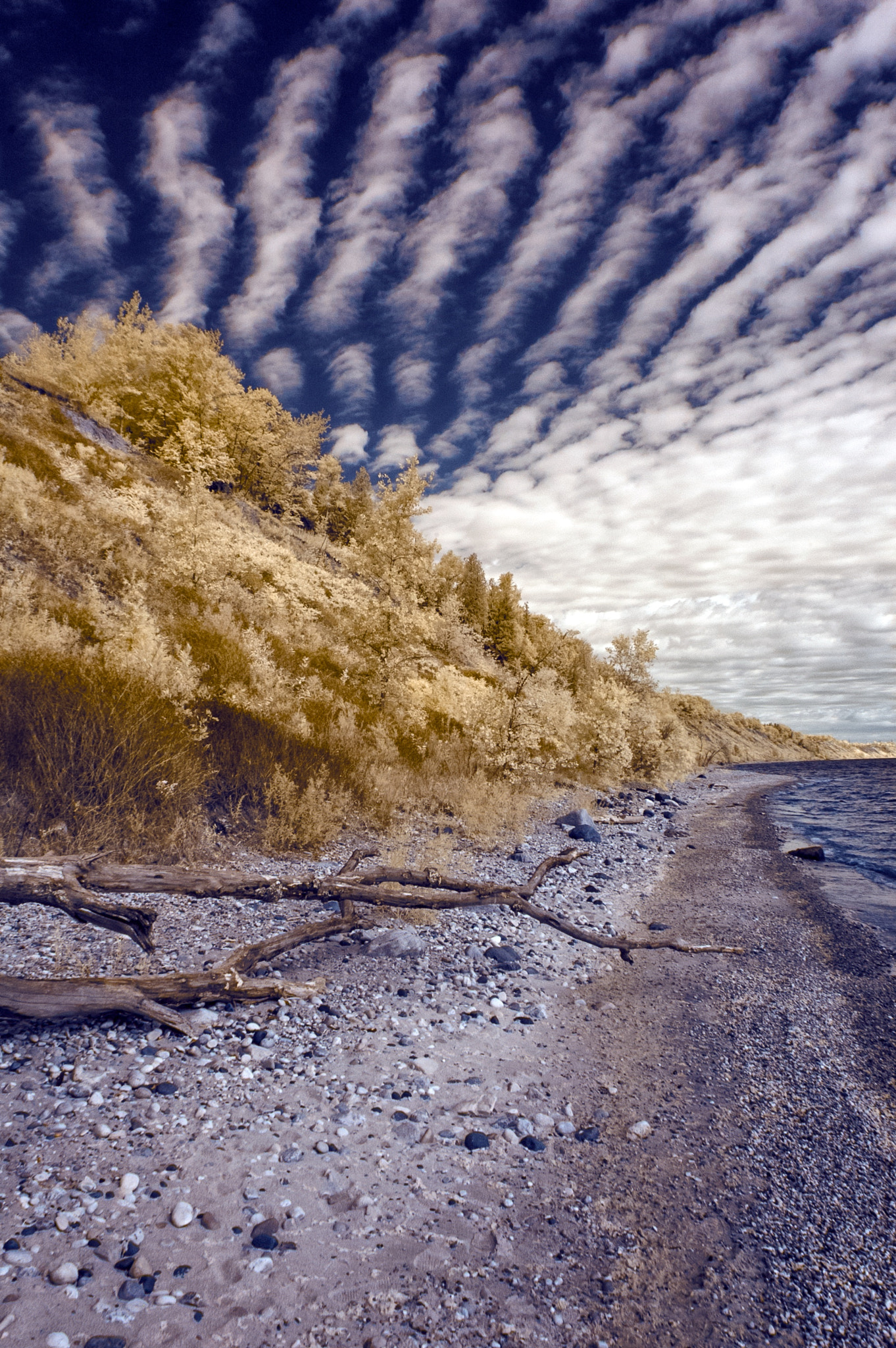 Nikon D70 sample photo. Lion's den gorge beach ir photography