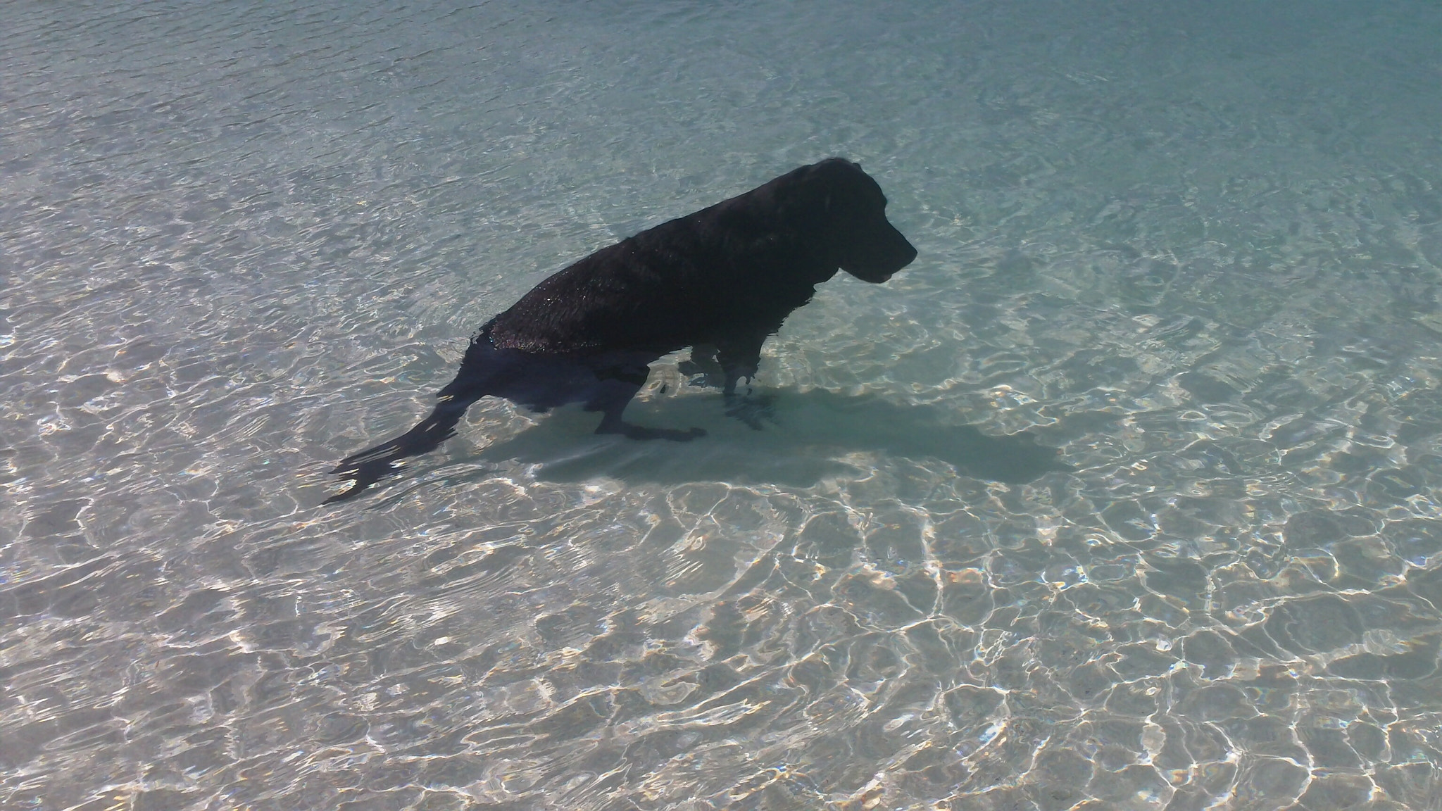 Kodak PLAYSPORT VIDEO CAMERA, ZX3 sample photo. Archipiélago los roques venezuela photography