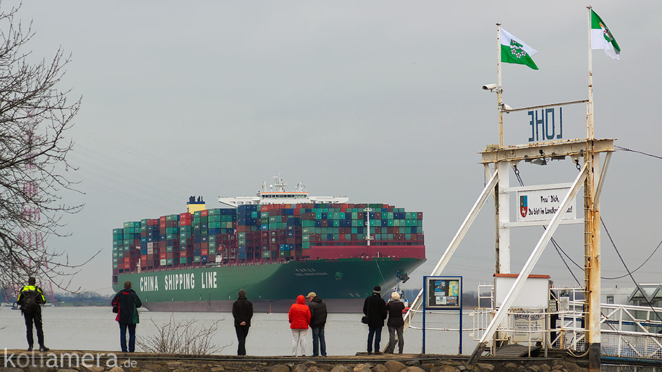 Canon EOS 50D + Canon EF 100mm F2.8 Macro USM sample photo. Grounded cscl indian ocean photography