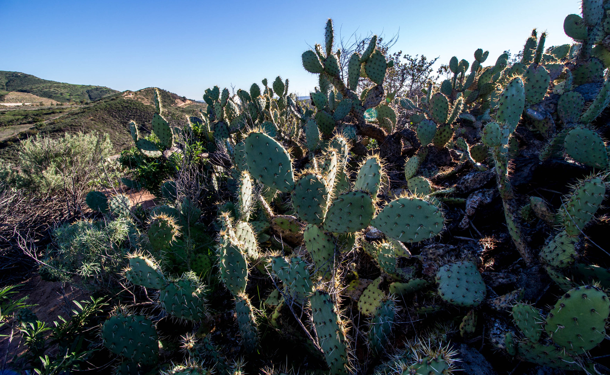Canon EF-S 10-18mm F4.5–5.6 IS STM sample photo. Danger photography