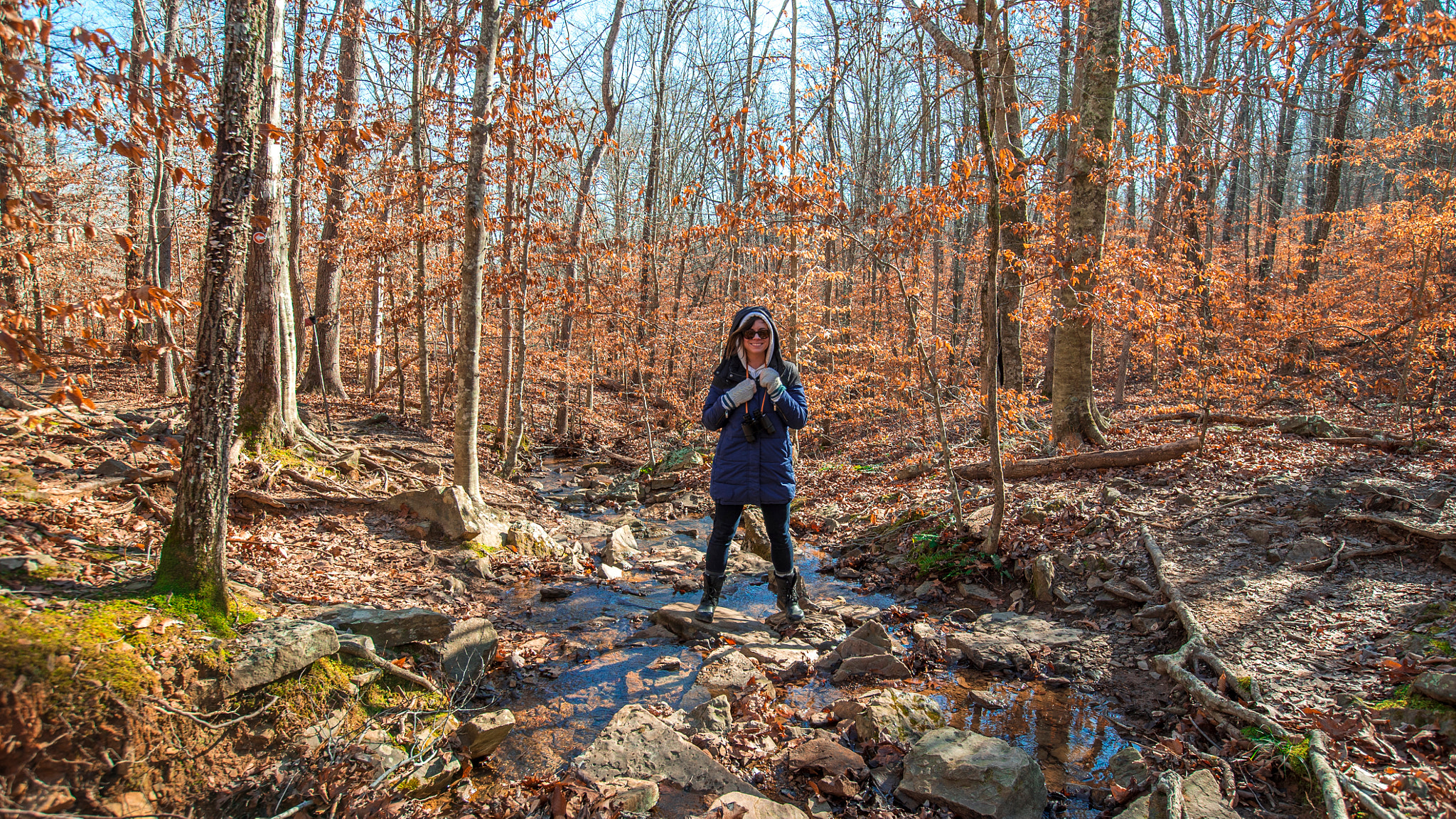 Sony a7S II + Canon EF 16-35mm F2.8L II USM sample photo