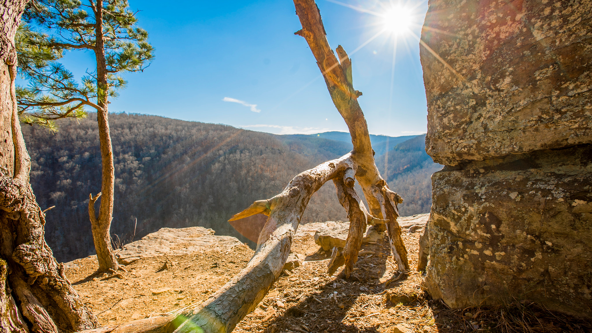 Sony a7S II + Canon EF 16-35mm F2.8L II USM sample photo