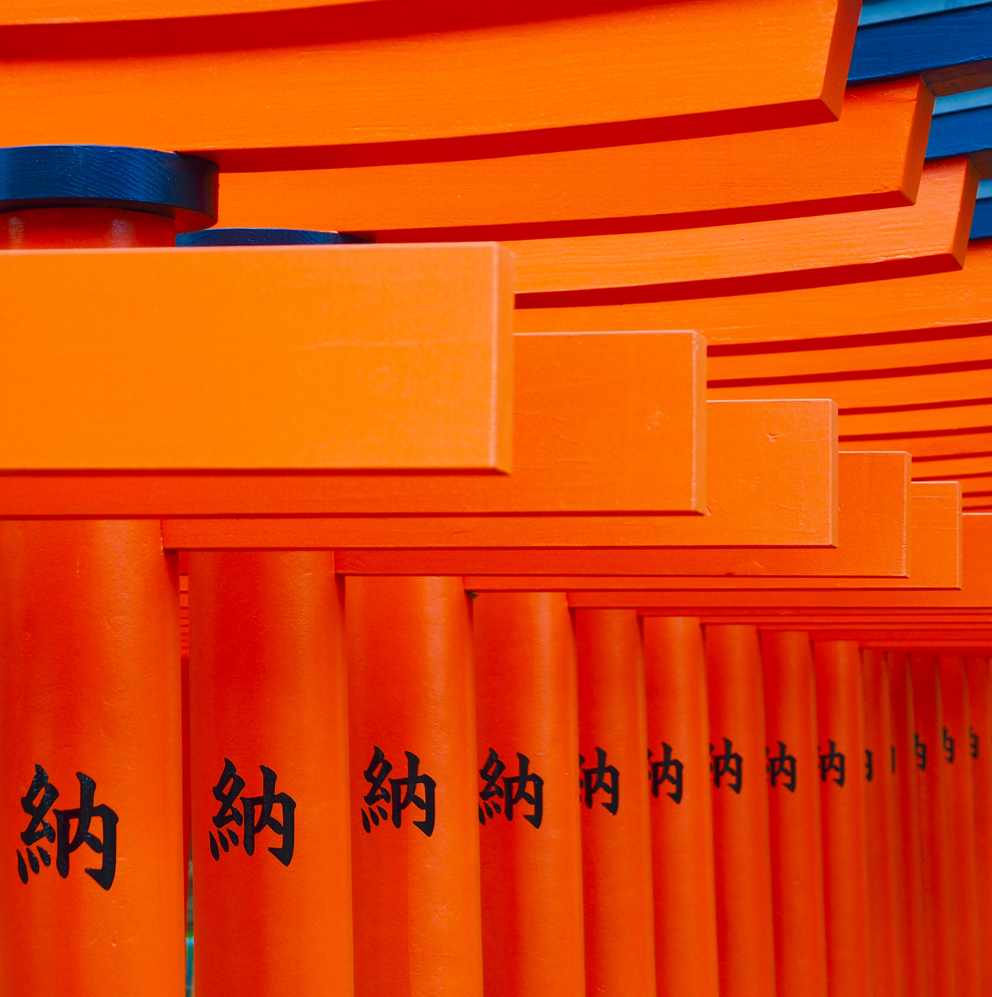 OLYMPUS M.12-50mm F3.5-6.3 sample photo. 鳥居 shrine gates photography