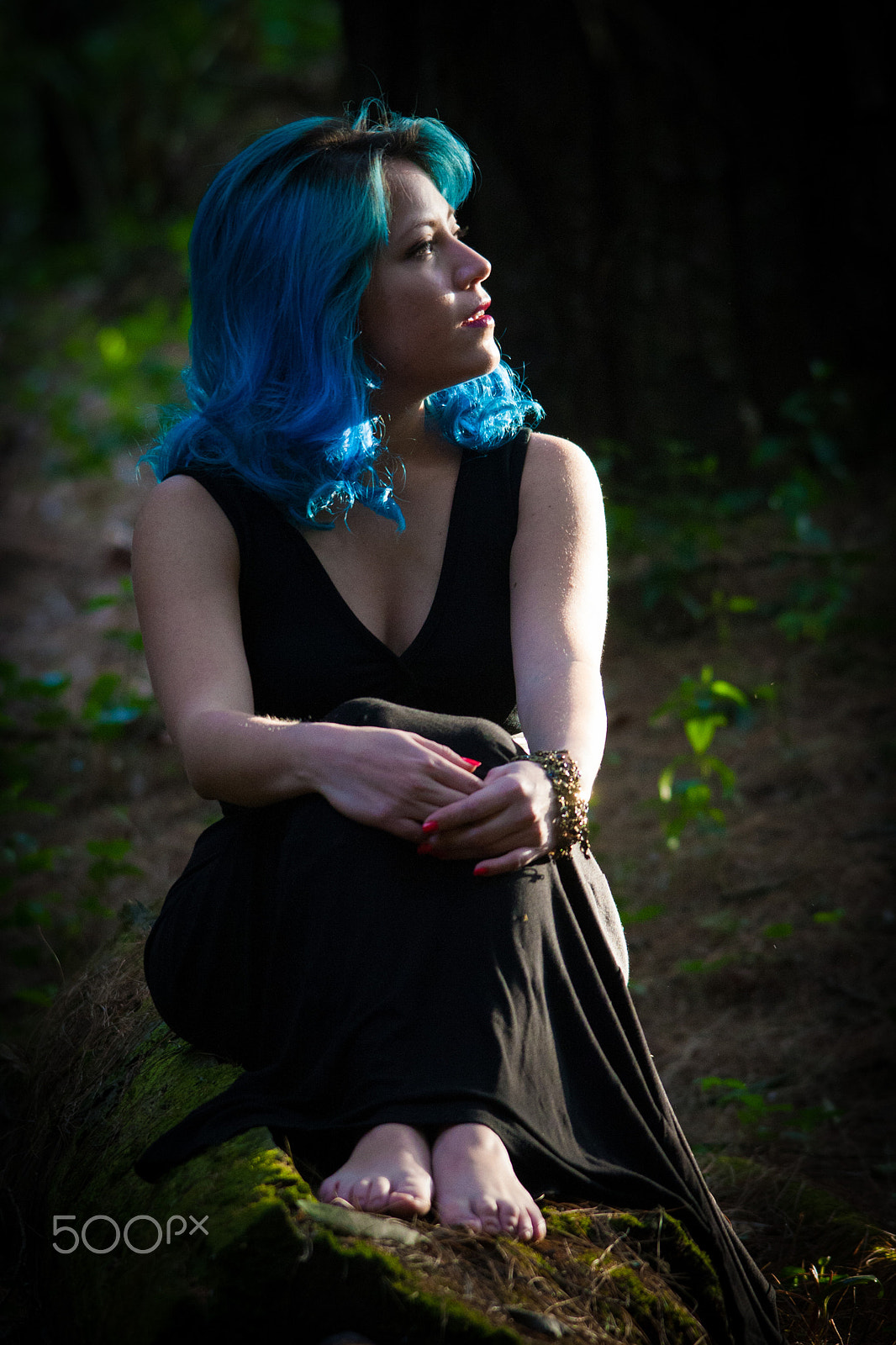 Sigma 150-500mm F5-6.3 DG OS HSM sample photo. Ana f photography