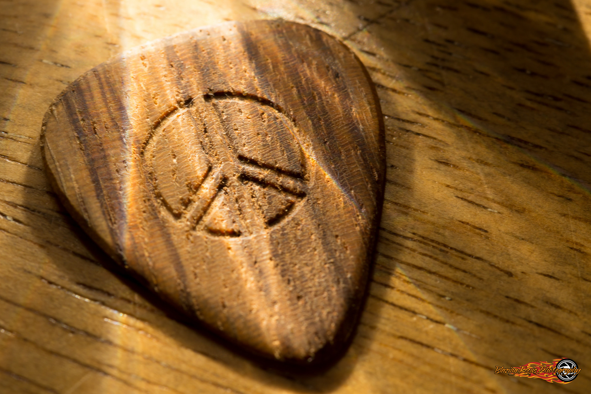 Canon EOS 6D + Canon EF 100mm F2.8 Macro USM sample photo. __pick a light peace of wood__ photography