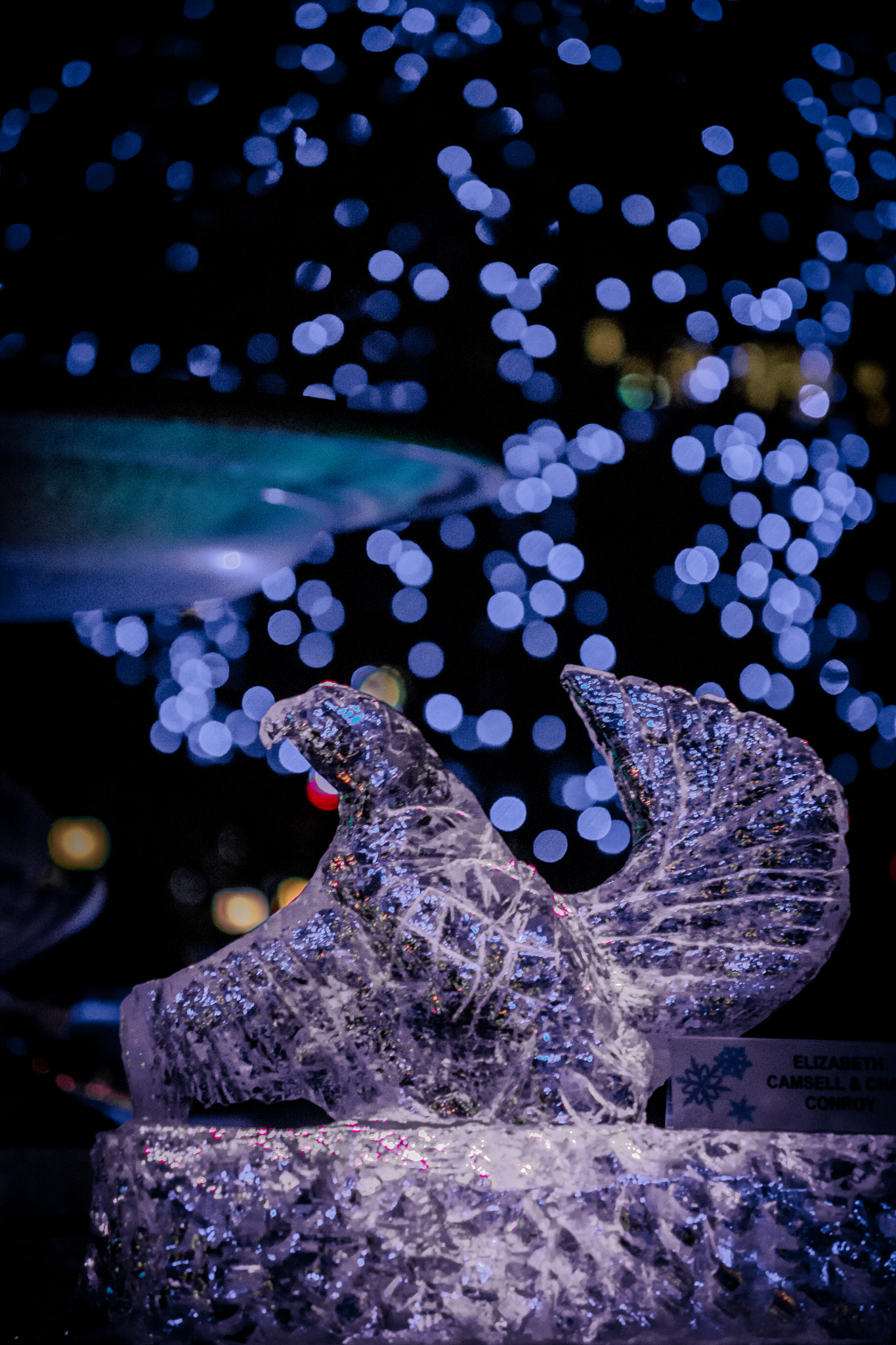 Sigma 50-150mm F2.8 EX APO DC HSM sample photo. Ice sculpture photography