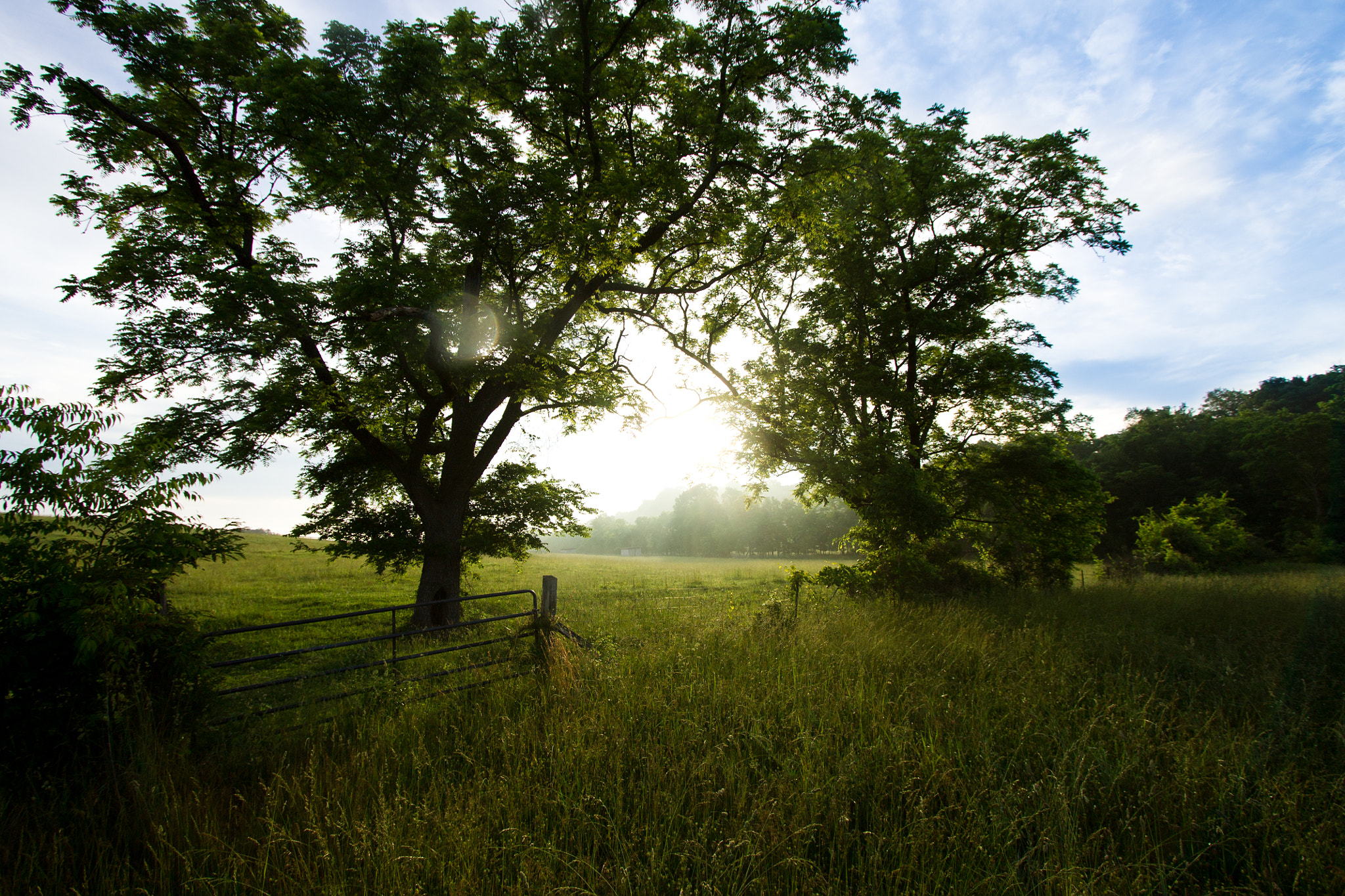 Canon EF-S 10-22mm F3.5-4.5 USM sample photo. Scenic sunrise photography