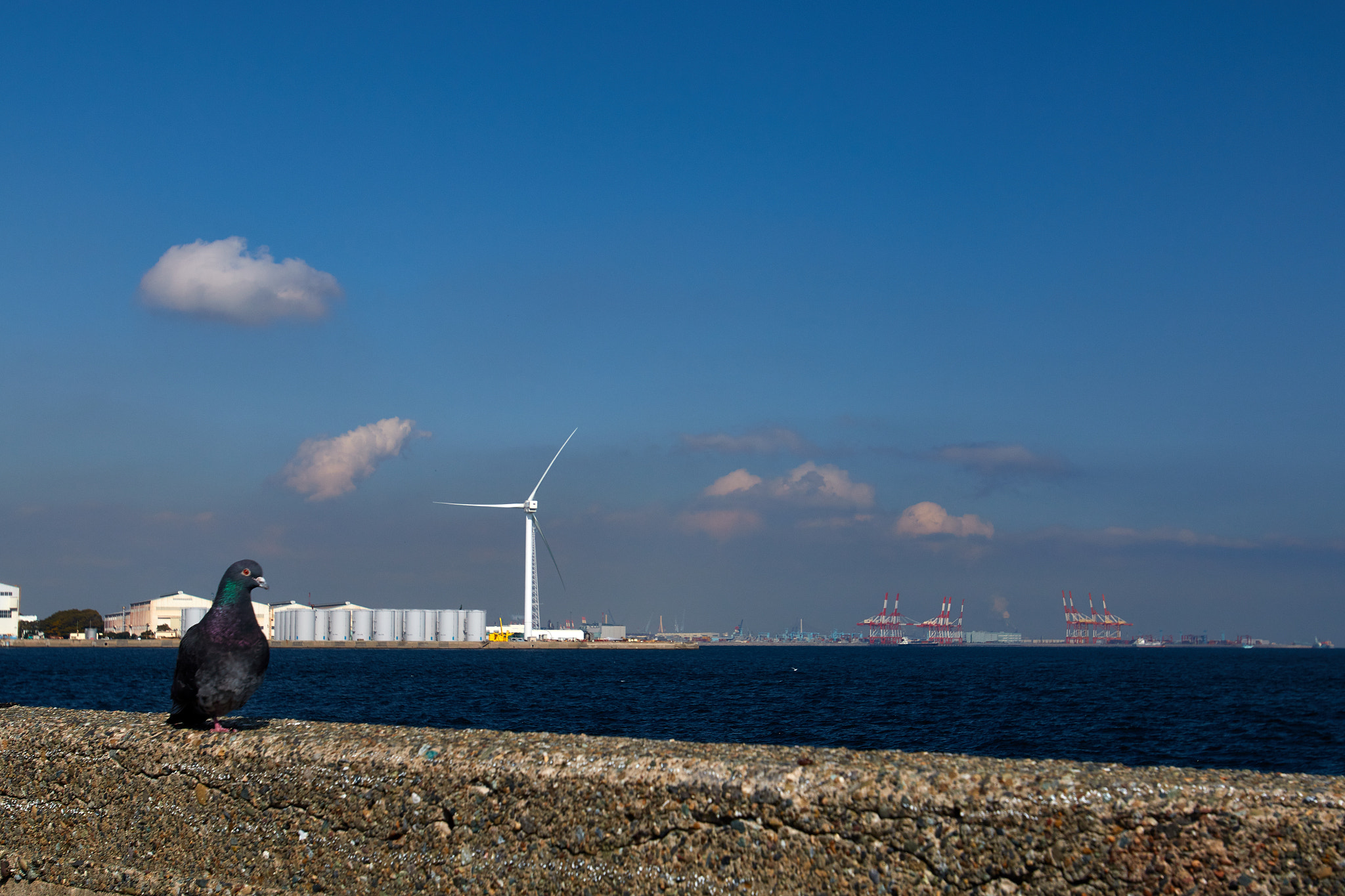Canon EOS 70D + Canon EF 16-35mm F2.8L USM sample photo. Wind power generation photography