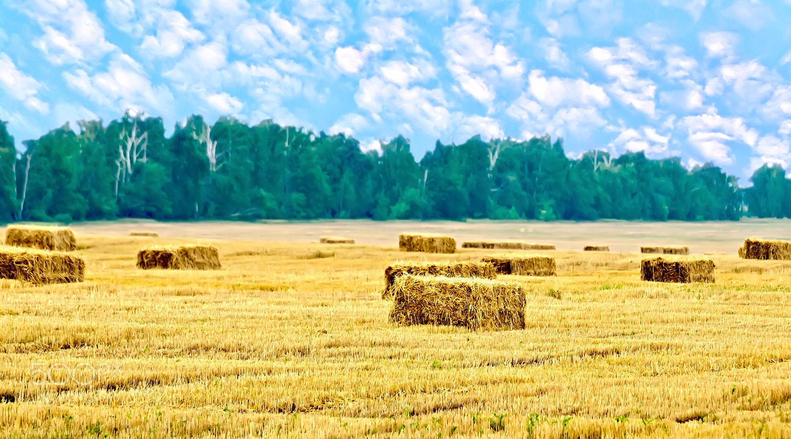 Nikon D7000 + Sigma 70-300mm F4-5.6 DG OS sample photo. Bales of straw rectangular and trees photography