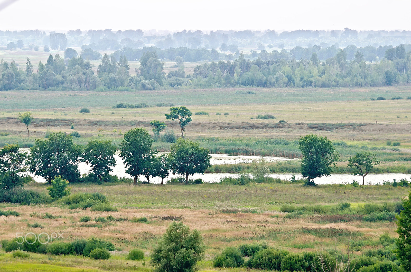 Nikon D7000 + Sigma 70-300mm F4-5.6 DG OS sample photo. Flood plain photography