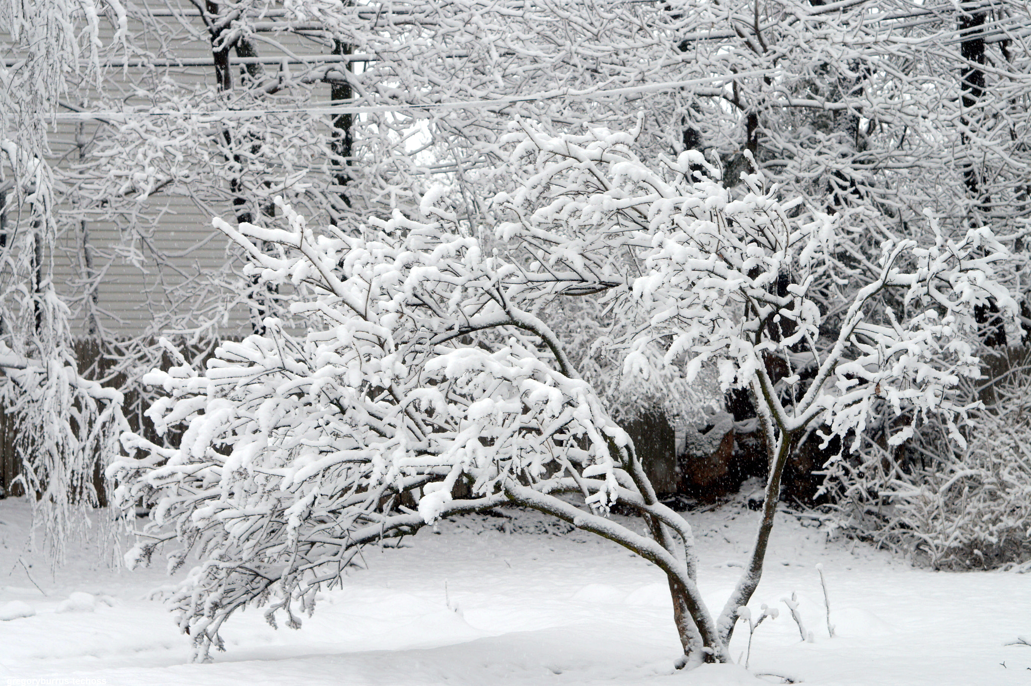 Sony Alpha a5000 (ILCE 5000) + Sony E 50mm F1.8 OSS sample photo. Snow day south orange nj photography