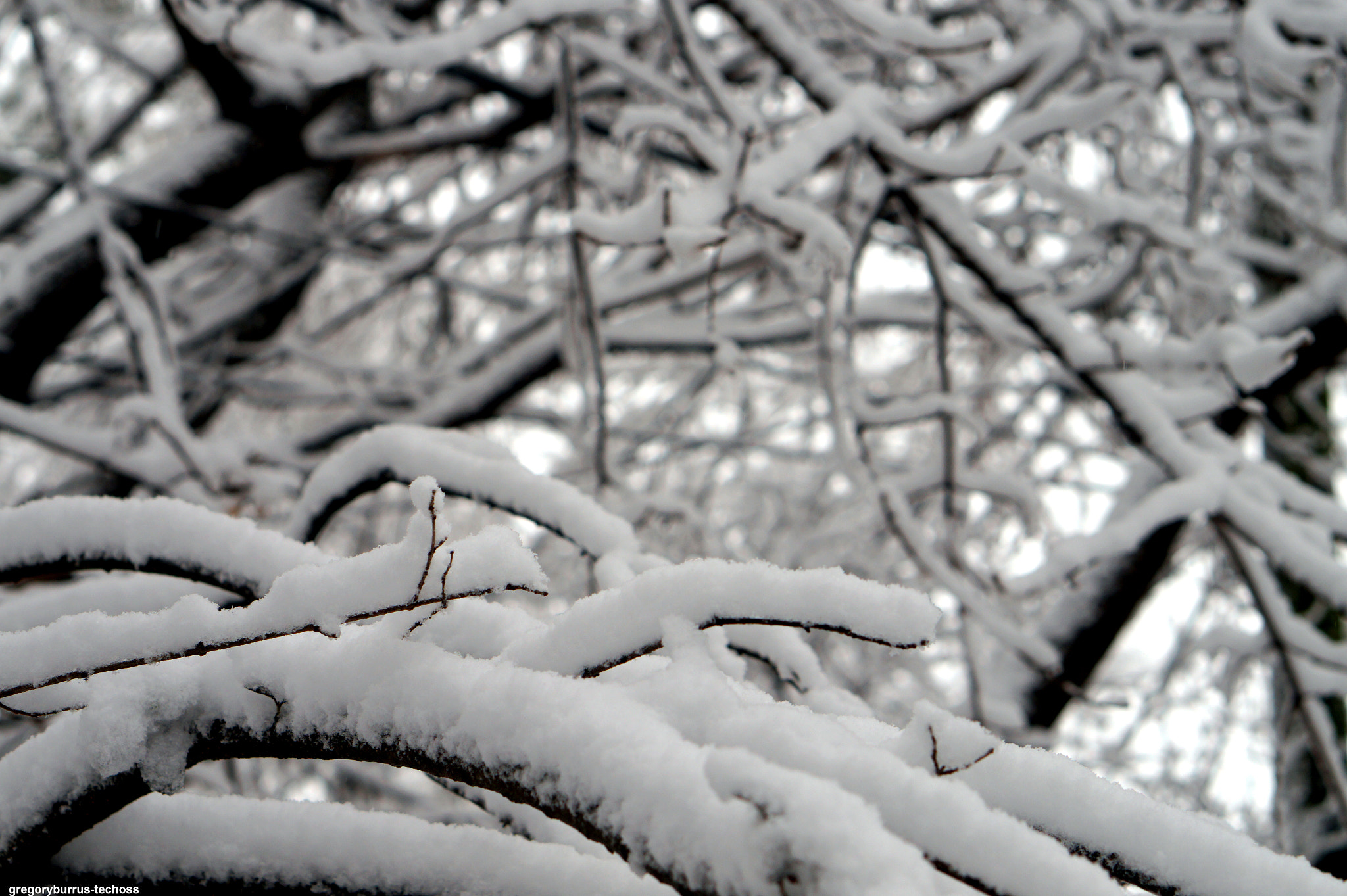 Sony Alpha a5000 (ILCE 5000) + Sony E 50mm F1.8 OSS sample photo. Snow day south orange nj photography