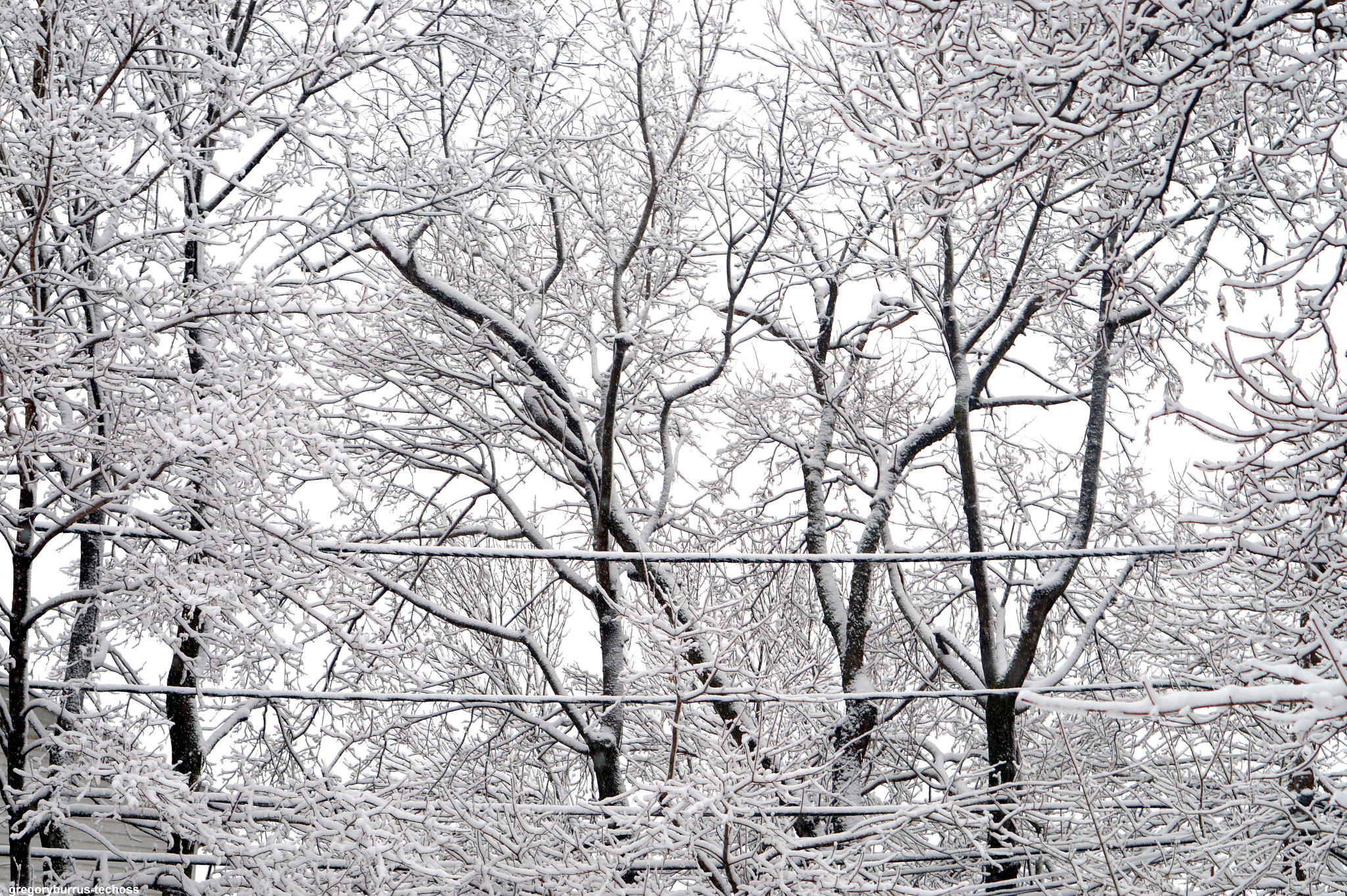 Sony Alpha a5000 (ILCE 5000) + Sony E 50mm F1.8 OSS sample photo. Snow day south orange nj photography