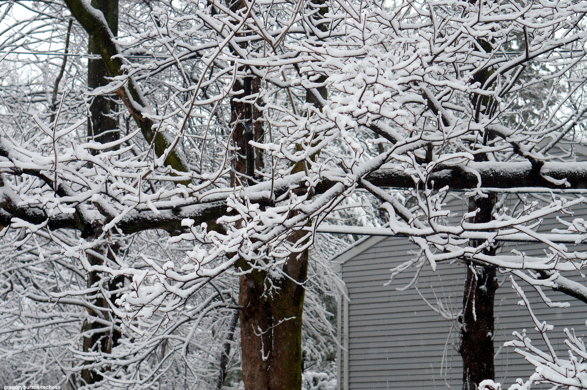 Sony Alpha a5000 (ILCE 5000) + Sony E 50mm F1.8 OSS sample photo. Snow day south orange nj photography