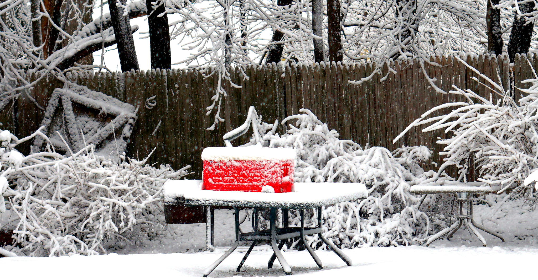 Sony Alpha a5000 (ILCE 5000) + Sony E 50mm F1.8 OSS sample photo. Snow day south orange nj photography