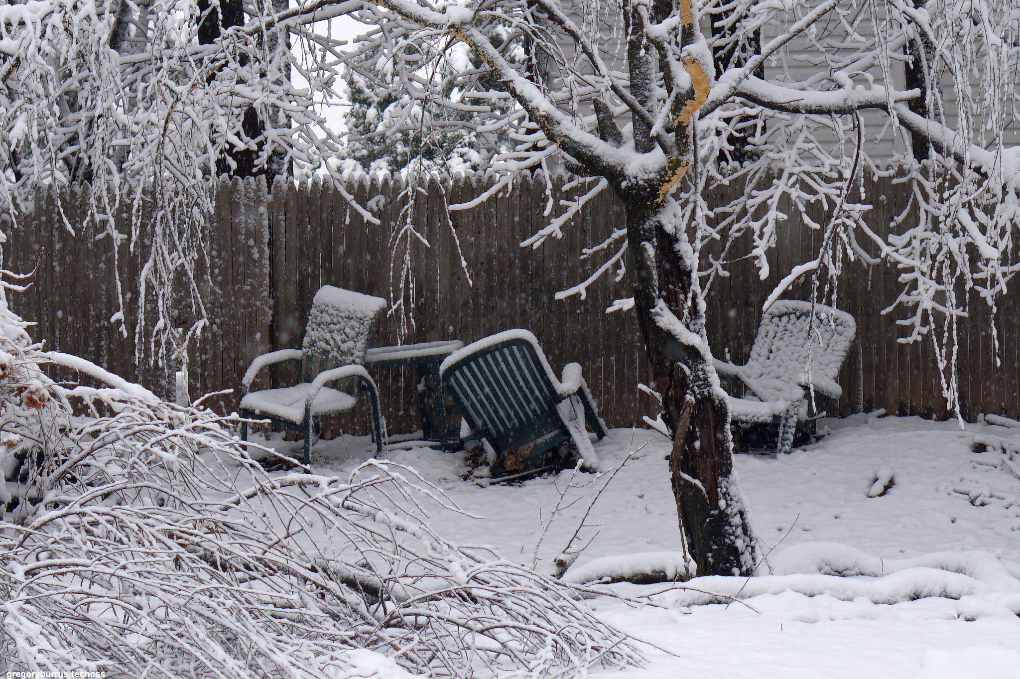 Sony Alpha a5000 (ILCE 5000) + Sony E 50mm F1.8 OSS sample photo. Snow day south orange nj photography