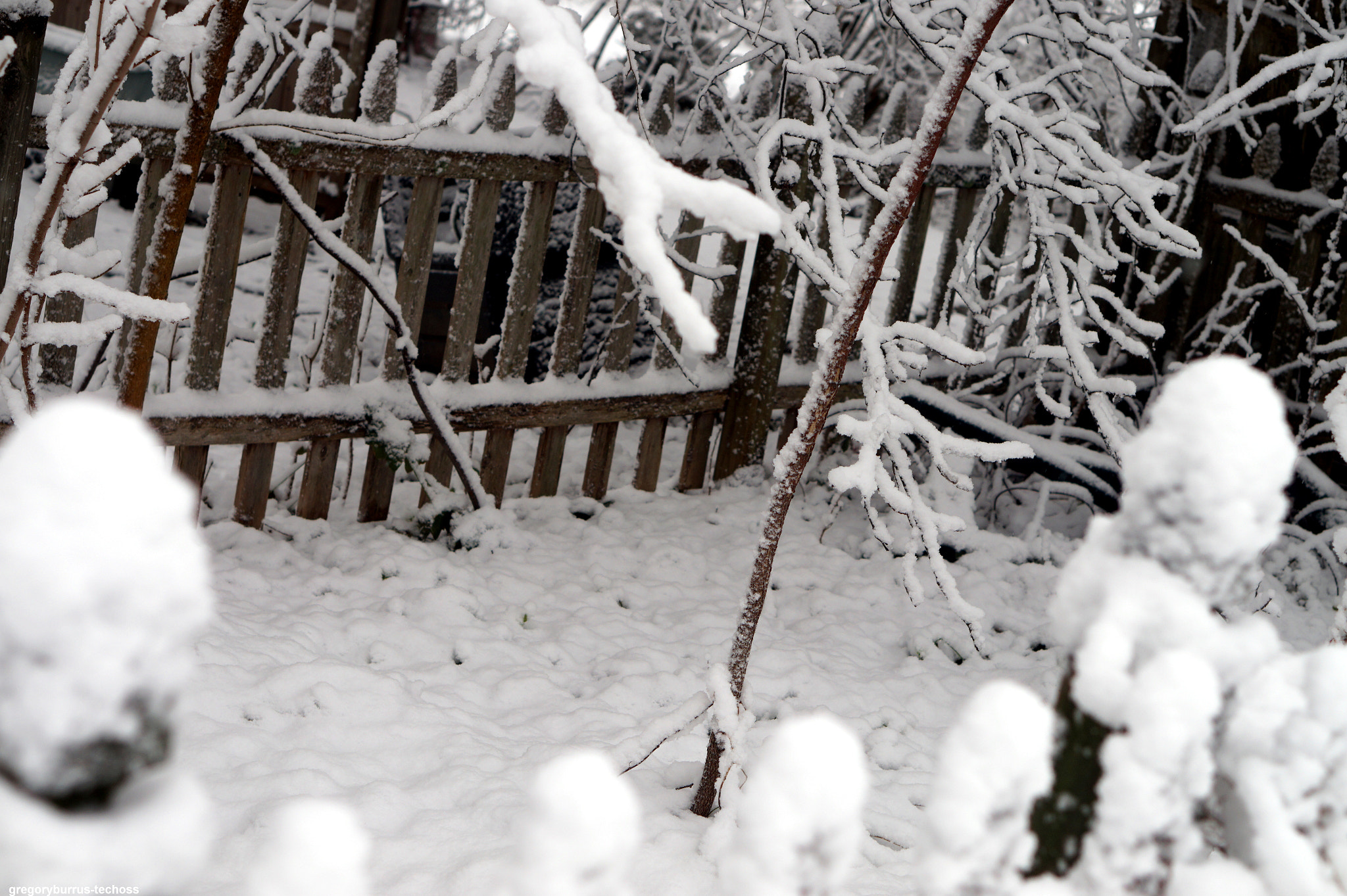 Sony Alpha a5000 (ILCE 5000) + Sony E 50mm F1.8 OSS sample photo. Snow day south orange nj photography